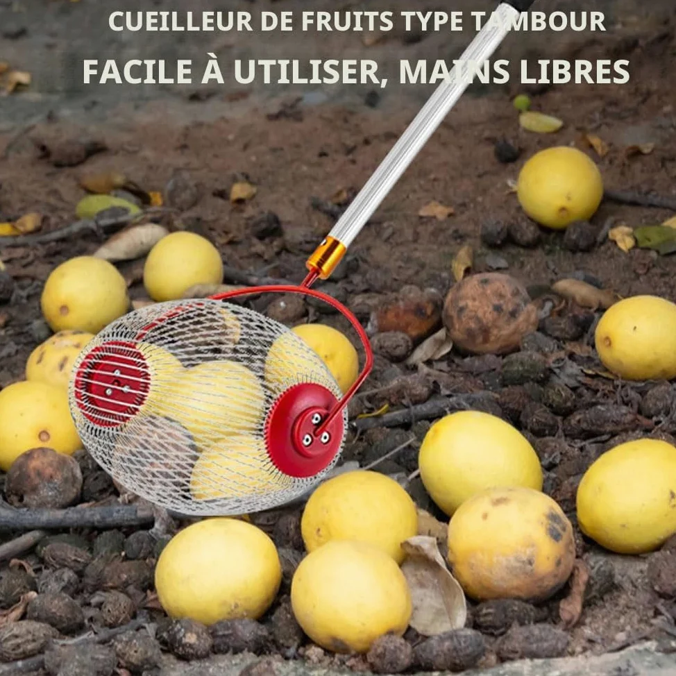 Ramasse Noix avec Manche, Ramasse Noisette, Ramasse-Noix avec Poignée Longue Télescopique, Ramasse Noix Pour Les Noix, Pruneaux, Golf