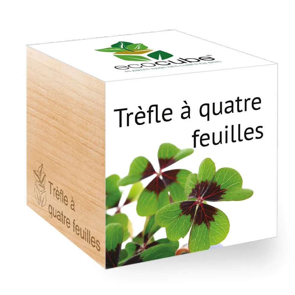 Feel Green Ecocube Trèfle À Quatre Feuilles Kit Prêt-à-Pousser 7.5cm