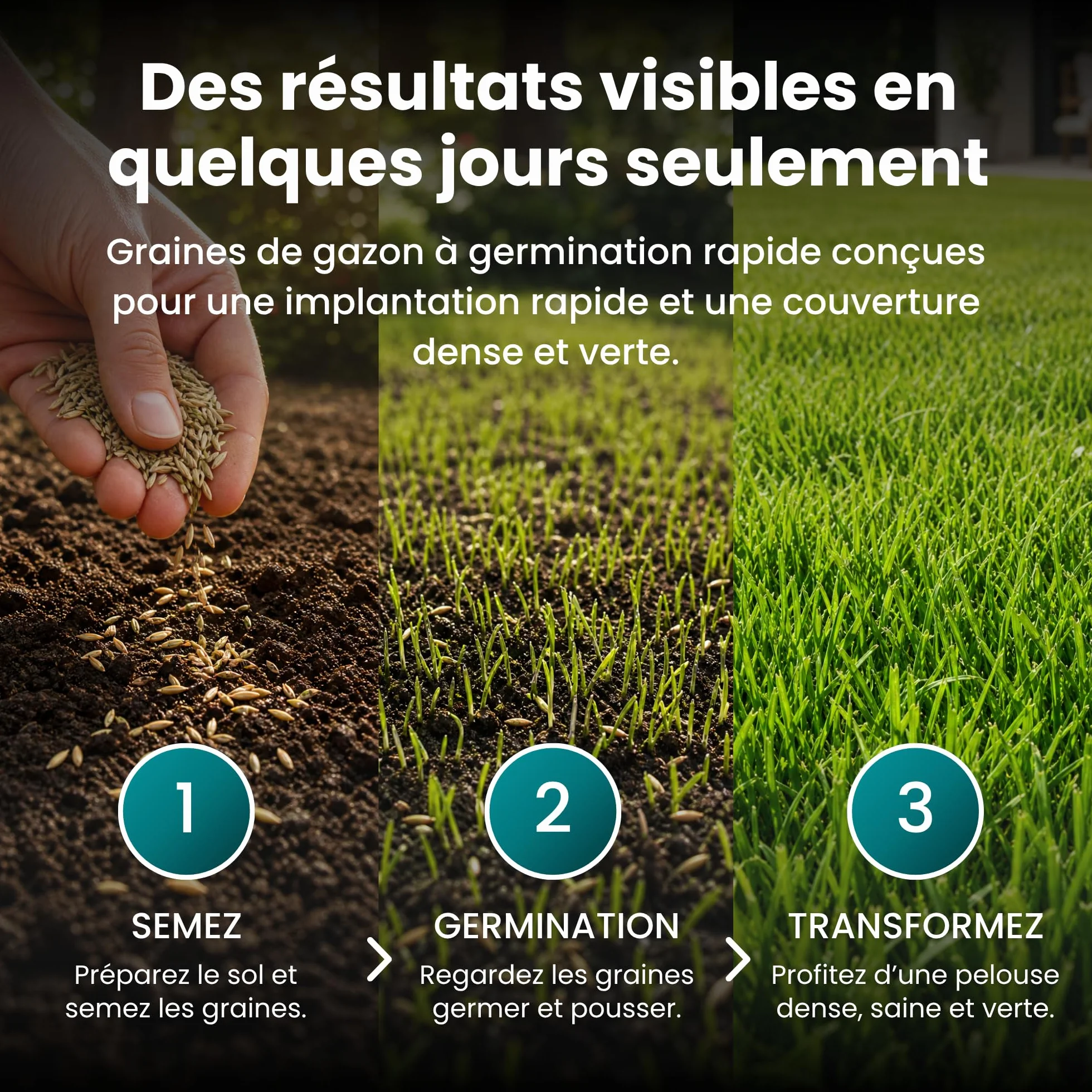 LERAVA Turbo gazon à semer pousse rapide 10m² pelouse ombre zones fraîches 98% pureté rustique vert vif semence résistante