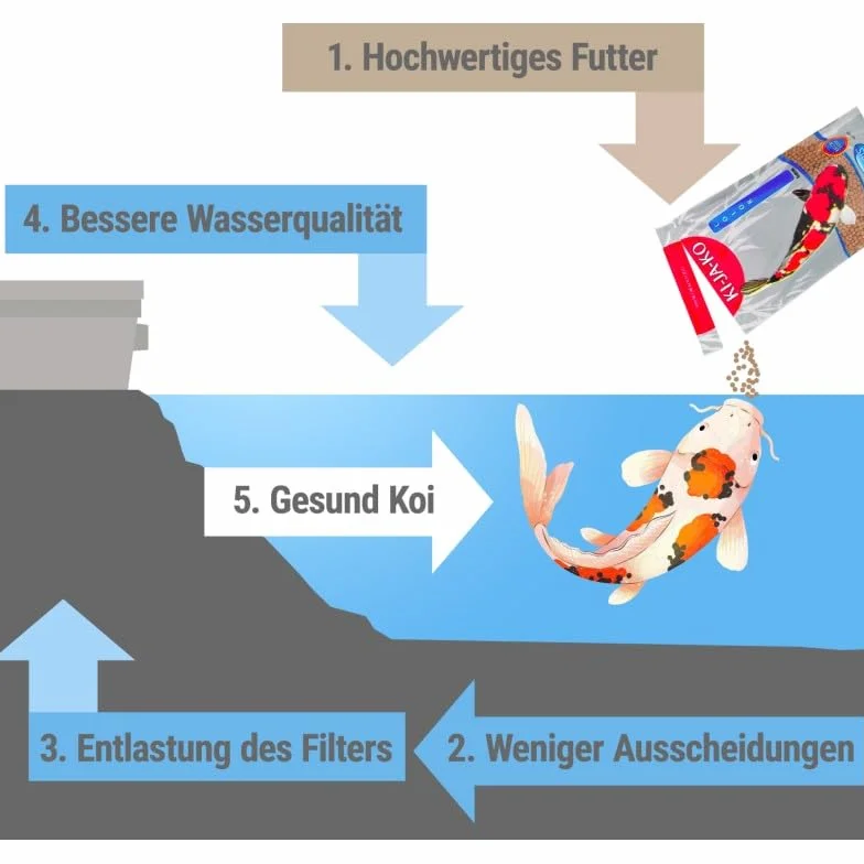 Nourriture pour carpes Koi 500 g 3 mm Granulés flottants hautement digestibles pour Jeunes Koi Riche en protéines germes de blé Actigen