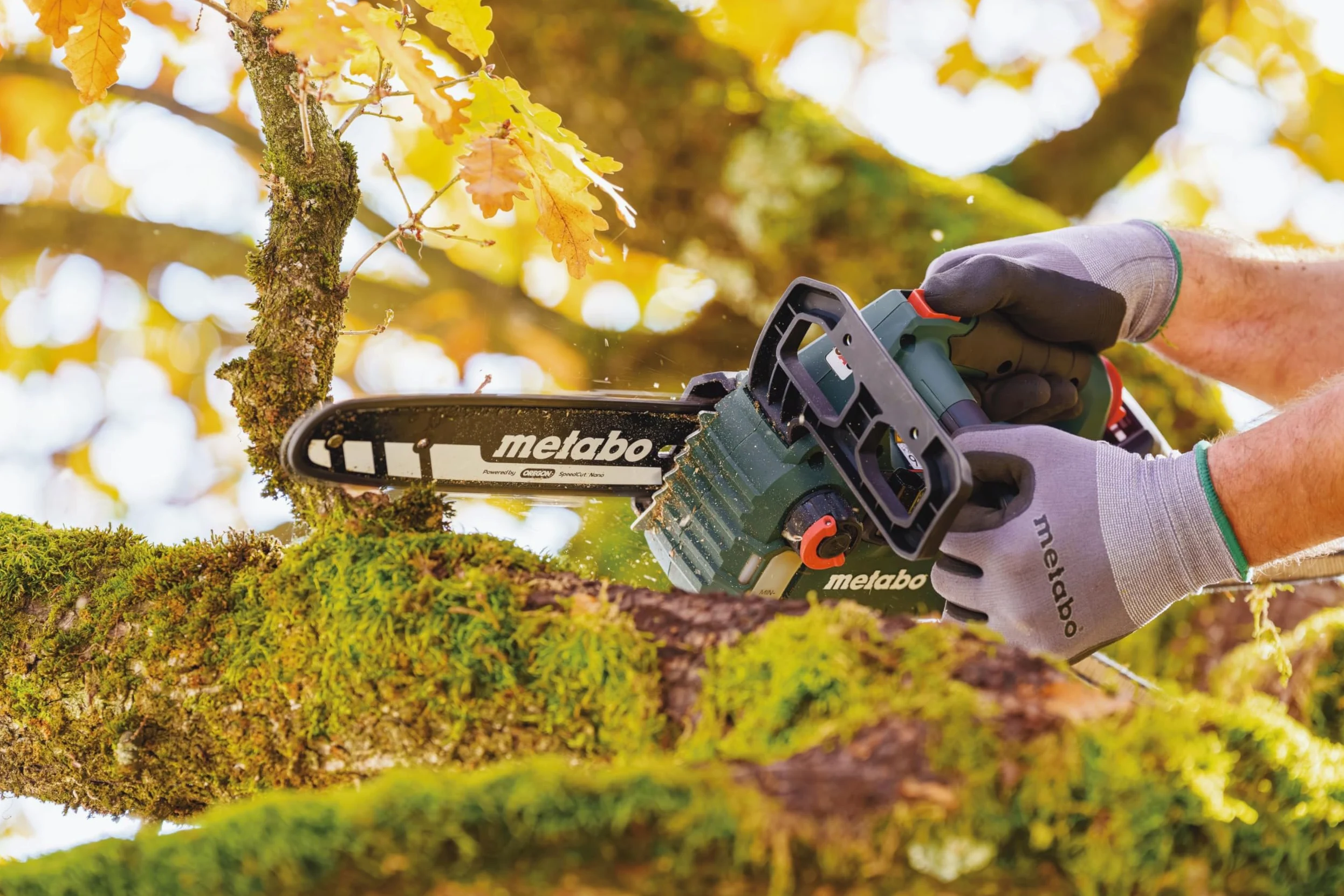 metabo Tronçonneuse sans fil MS 18 LTX BL 25-18 V, CAS, 25 cm, Oregon SpeedCut Nano - Brushless, interrupteur de sécurité, arrêt rapide de chaîne, tronçonneuse légère et compacte pour l'entretien des