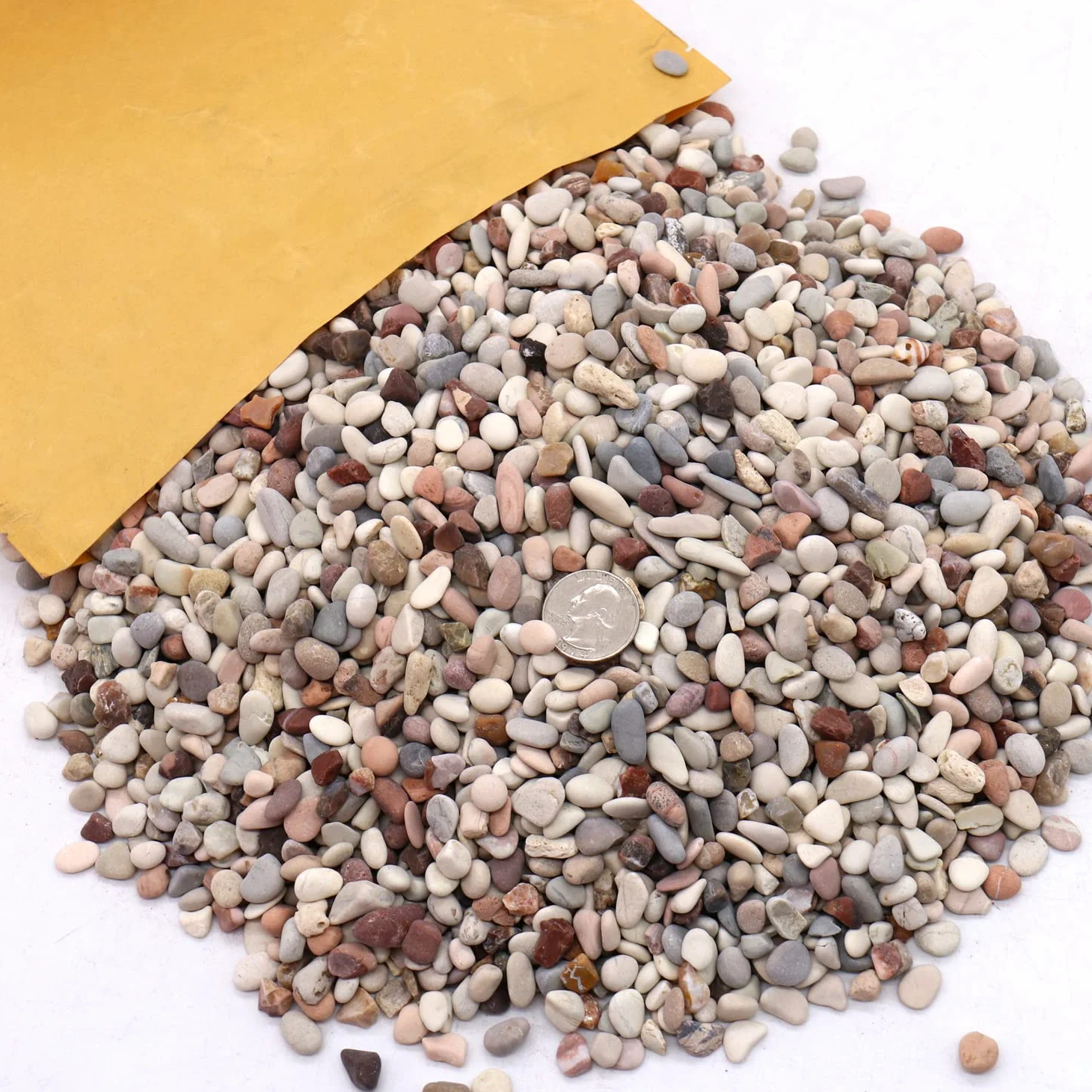 Roches pour plantes. Galets décoratifs couleur terre de 1,27 cm - 4,5 kg pour jardin, remplissage de vases, artisanat, plantes succulentes, pots, plantes (mini (0,6 cm), couleurs