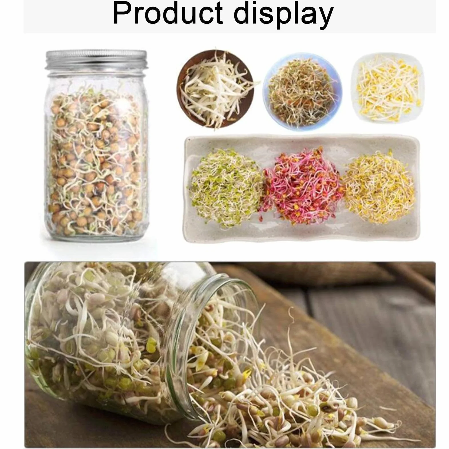 Sprouts Bocal Kit de germination acier inoxydable avec couvercle manchon occultant support