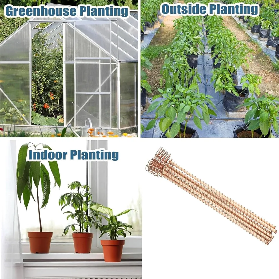 Lot de 24 piquets pour plantes d'électroculture, longueur 300 mm, longues tiges de jardin en cuivre, électroculture, jardinage, bobines de cuivre, outils de fil pour cultiver des plantes de jardin et