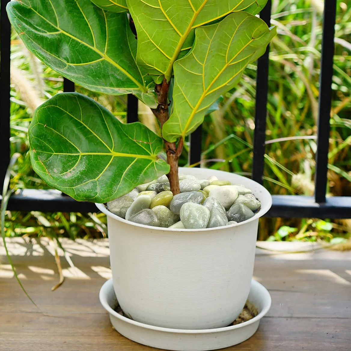 YISZM Pierres de rivière en jade de 9 kg pour aménagement paysager, galets naturels de 5 à 7,6 cm pour plantes d'intérieur, pierres décoratives polies pour remplissage de vase, aquariums, jardin