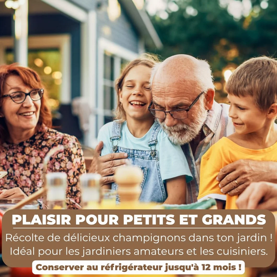 Hawlik Pilzbrut - Cheville Pleurotes en huître pour cultiver soi-même - 20 cheville avec mycélium de champignon