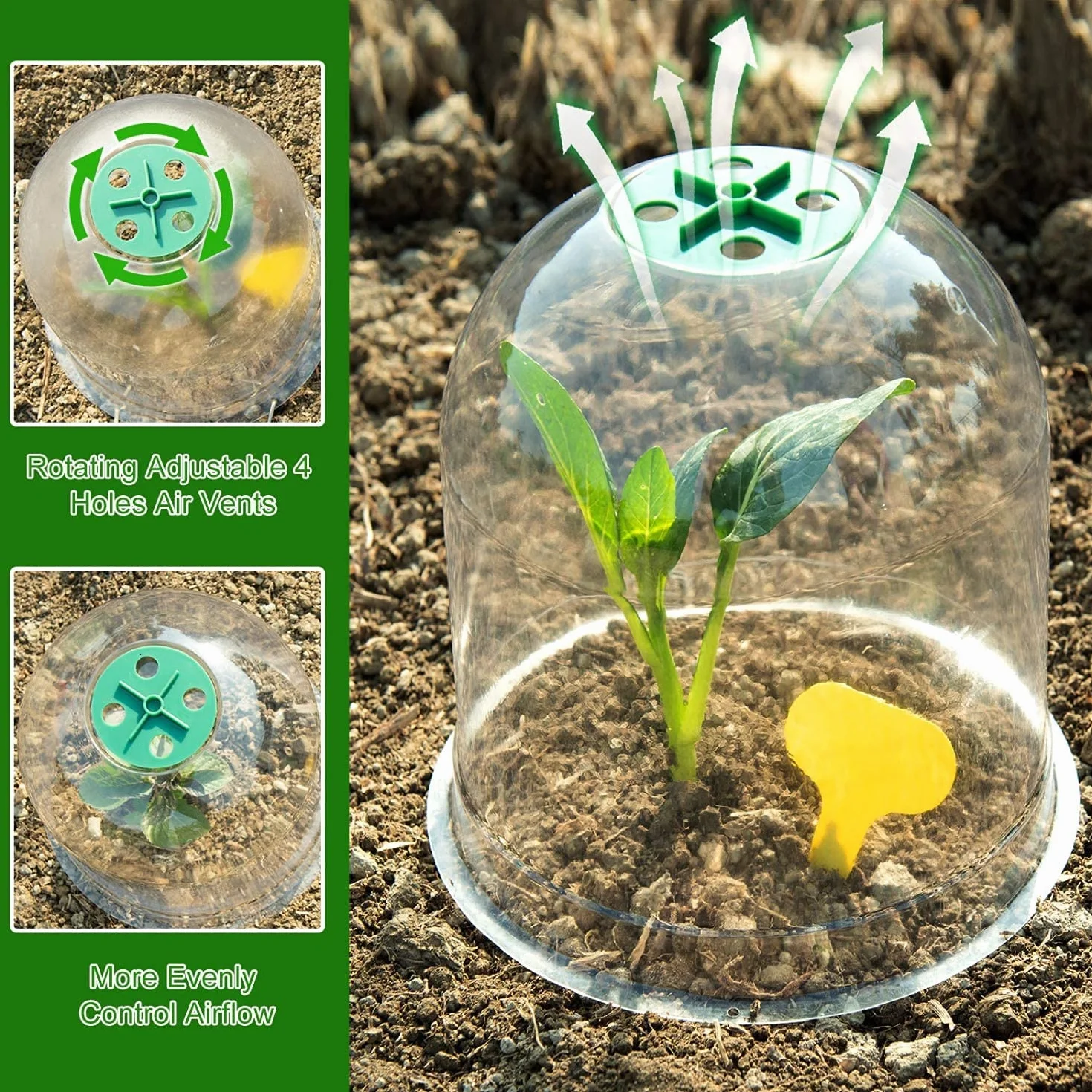 Cloche pour Plantes de Jardin LATERN 26CM x 20CM Mini Serre en Plastique 10 Pièces avec Piquets de Fixation