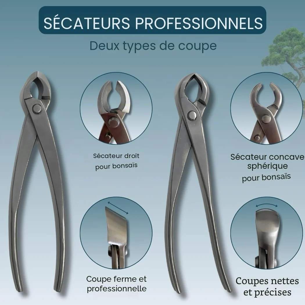 Kit d'outils professionnels pour bonsaï – Mallette d'entretien pour bonsaï avec ciseaux, sécateur concave et sécateur droit Indispensable pour l'entretien