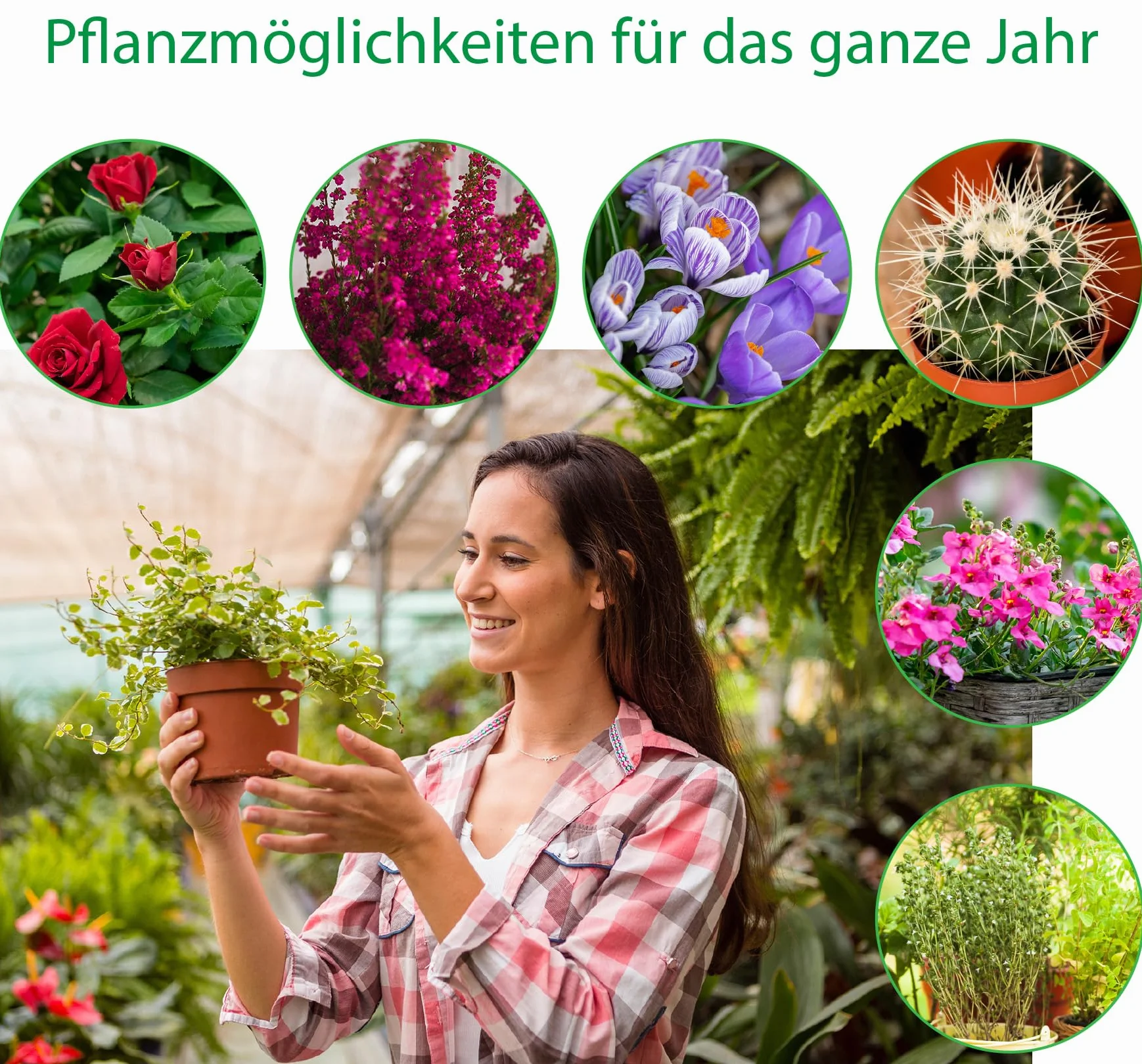 Lot de 12 jardinières ondulées en plastique 37 x 9,5 x 13,5 cm pour plantations palettes européennes