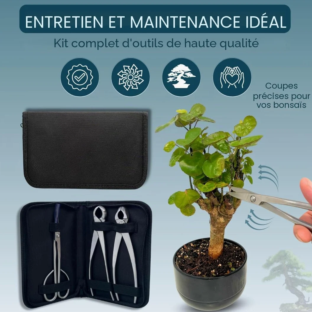 Kit d'outils professionnels pour bonsaï – Mallette d'entretien pour bonsaï avec ciseaux, sécateur concave et sécateur droit Indispensable pour l'entretien