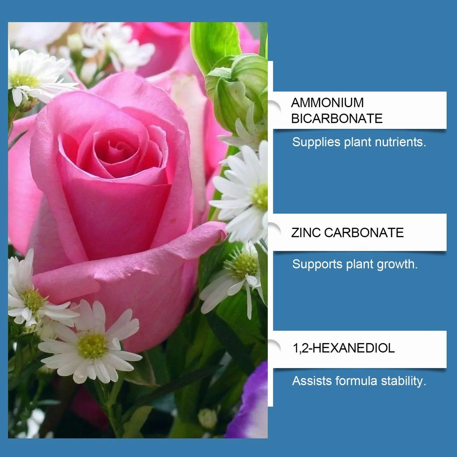 D'engrais Pour Hortensia Devenir Bleu 14x20 Cm Hydrangea Blueing Plant Acidifiant Amendements Doux Abaisseur PH Du Sol En Sulfate D'aluminium Jardins Et Étangs