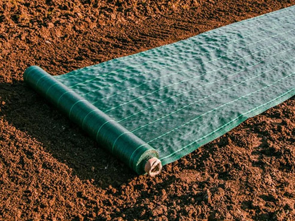 Maillestore Toile de paillage - 1.25m x 100m - Vert - 130gr/m² - Non pliée