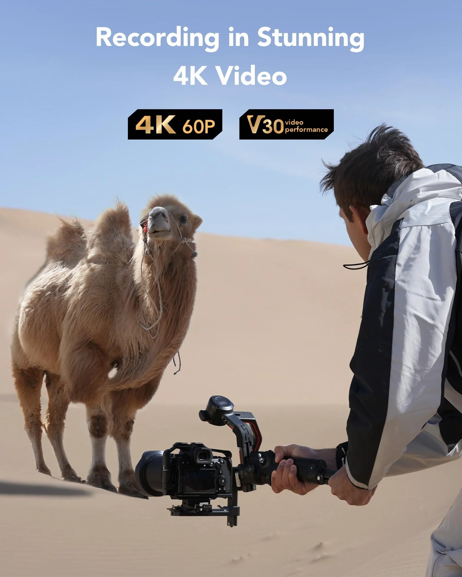 Lexar Silver Carte SD 64Go UHS-I SDXC V30 U3 Classe 10 205 Mo/s Lecture 90 Mo/s Écriture 4K UHD