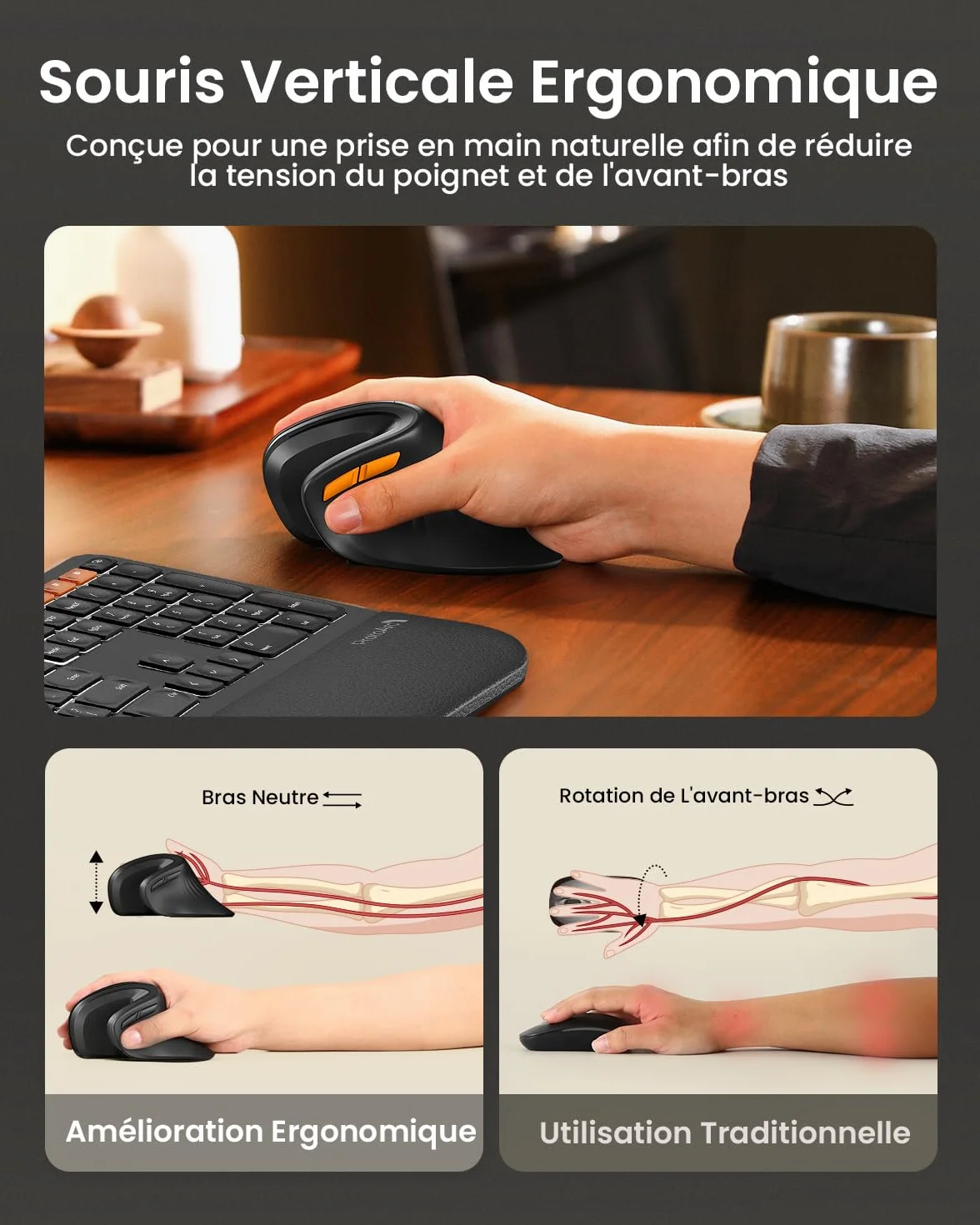 ProtoArc EM11 NL Souris Ergonomique sans Fil Verticale Rechargeable 3 Ports Bluetooth USB Silencieuse Noir