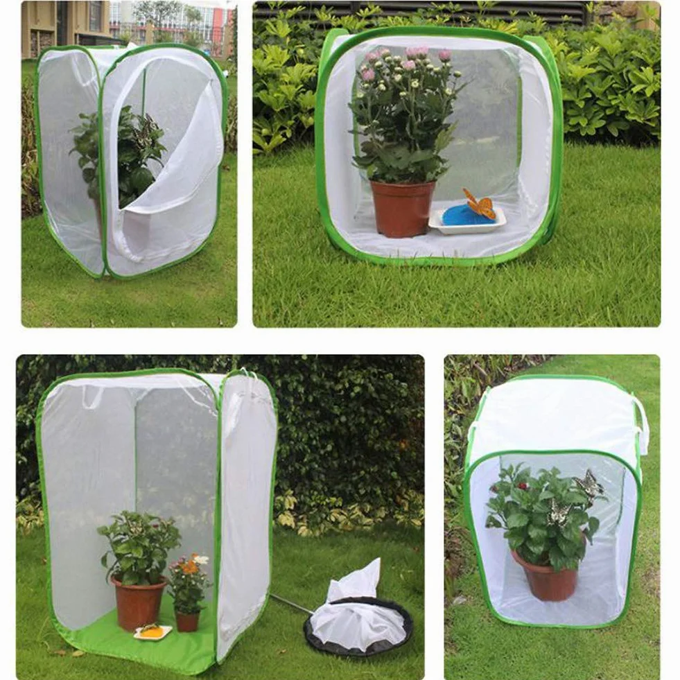 Cage Papillon Habitat Insecte Élevage avec Film PVC Transparent Pliable Amovible Blanc Filet Serre Tente pour Extérieur