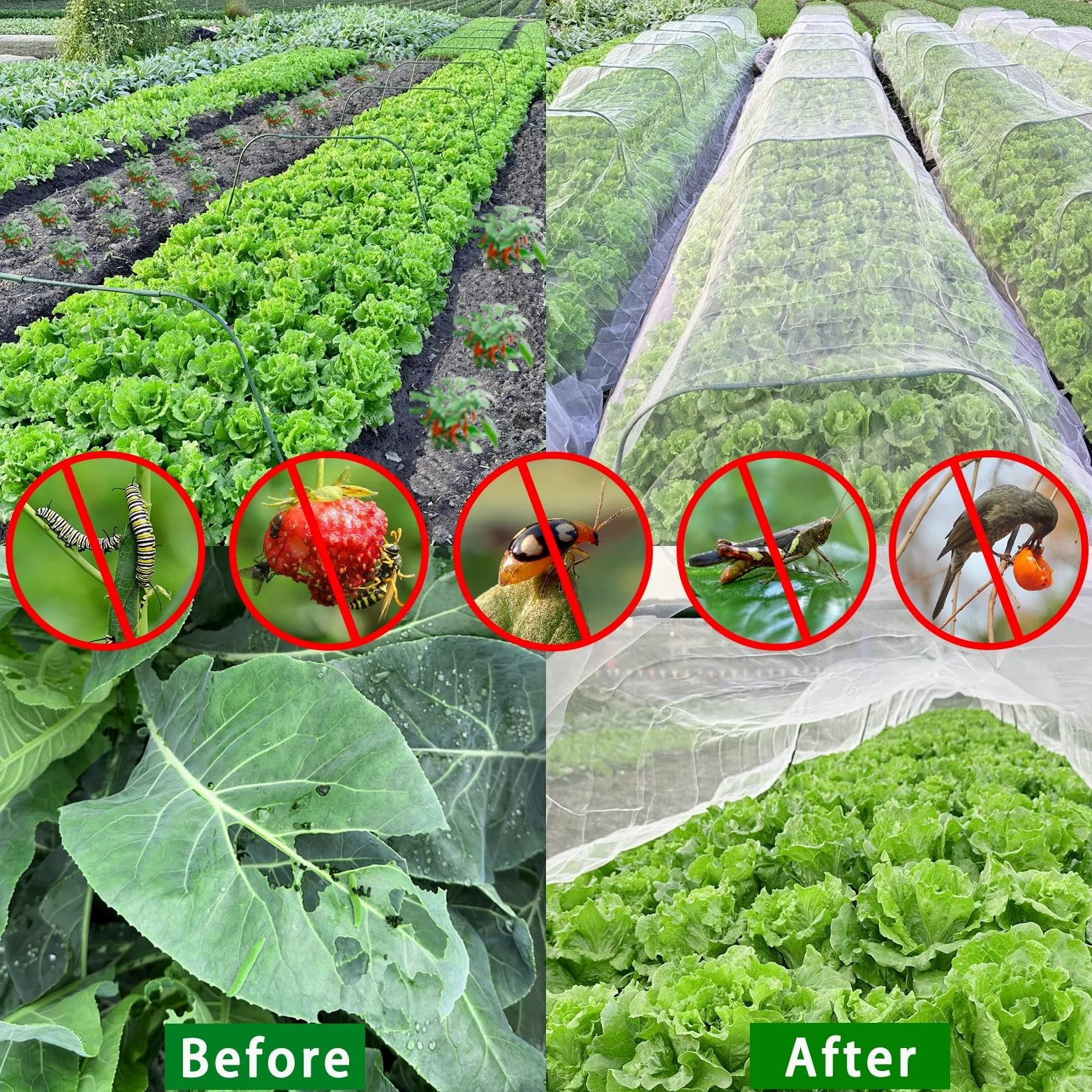 Kit de filet de jardin, filet de barrière en maille fine de 3 x 10 m avec 8 cerceaux de jardin et 24 clips, filet anti-insectes, couverture de rangée de parterres surélevés, protège les légumes, les