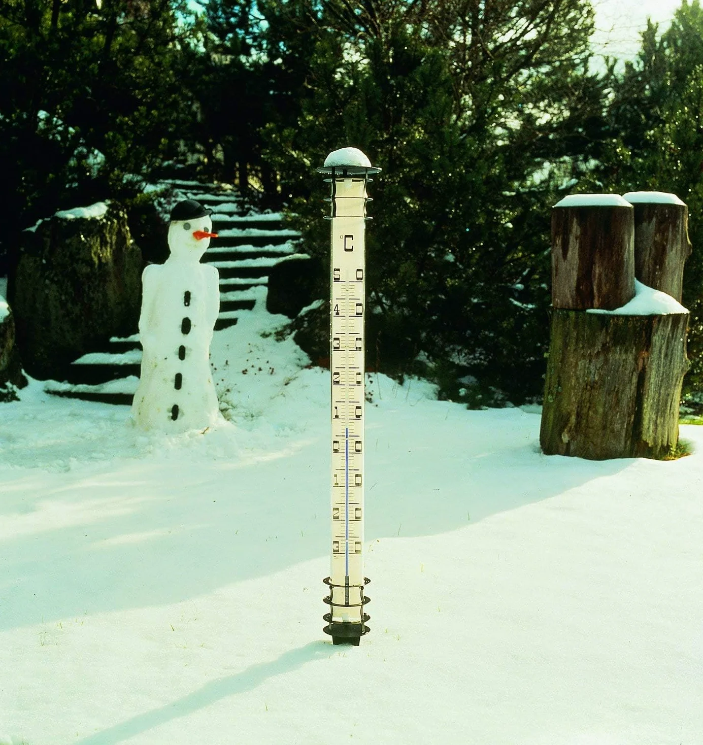 TFA Dostmann Thermomètre d'extérieur analogique JUMBO, 12.2002, avec piquet de terre, noir,