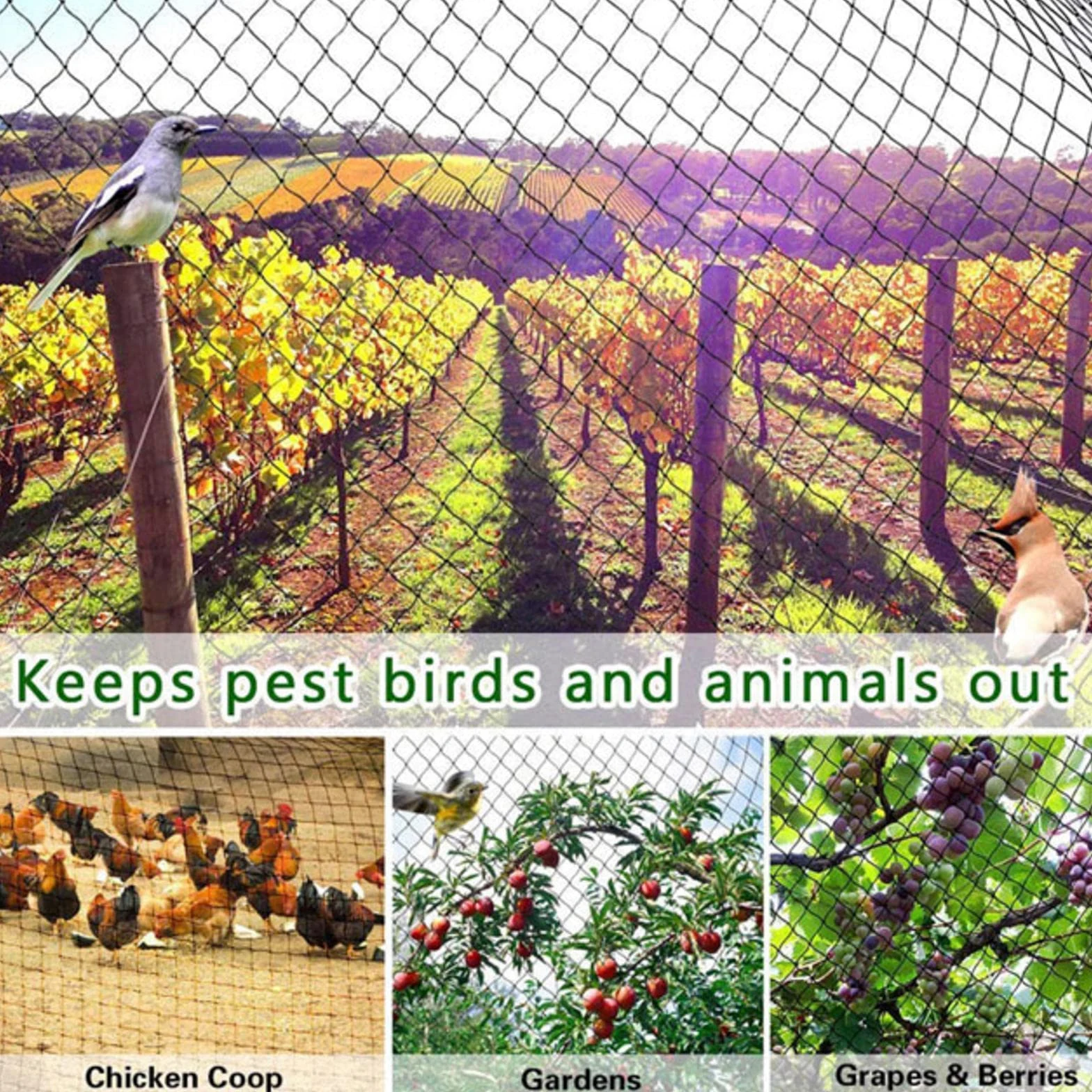 Filet Anti Oiseaux Potager Filet Jardin Potager Grimpant Treillis Plante Grimpante Exterieur Légumes Mesh Net pour Oiseaux Contrôle,10x10m