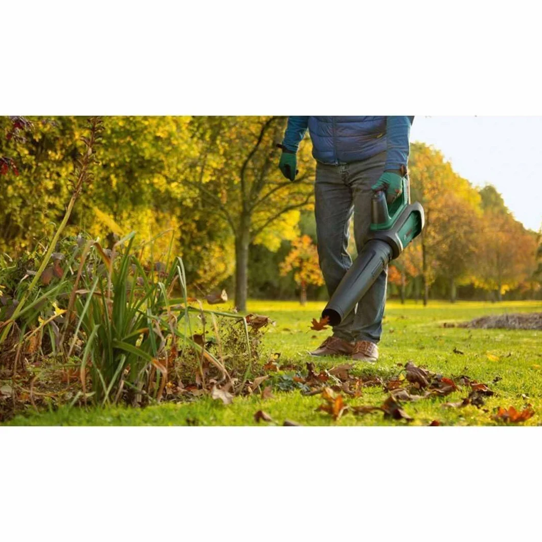 Bosch Souffleur de Feuilles sans Fil - AdvancedLeafBlower 36V-750