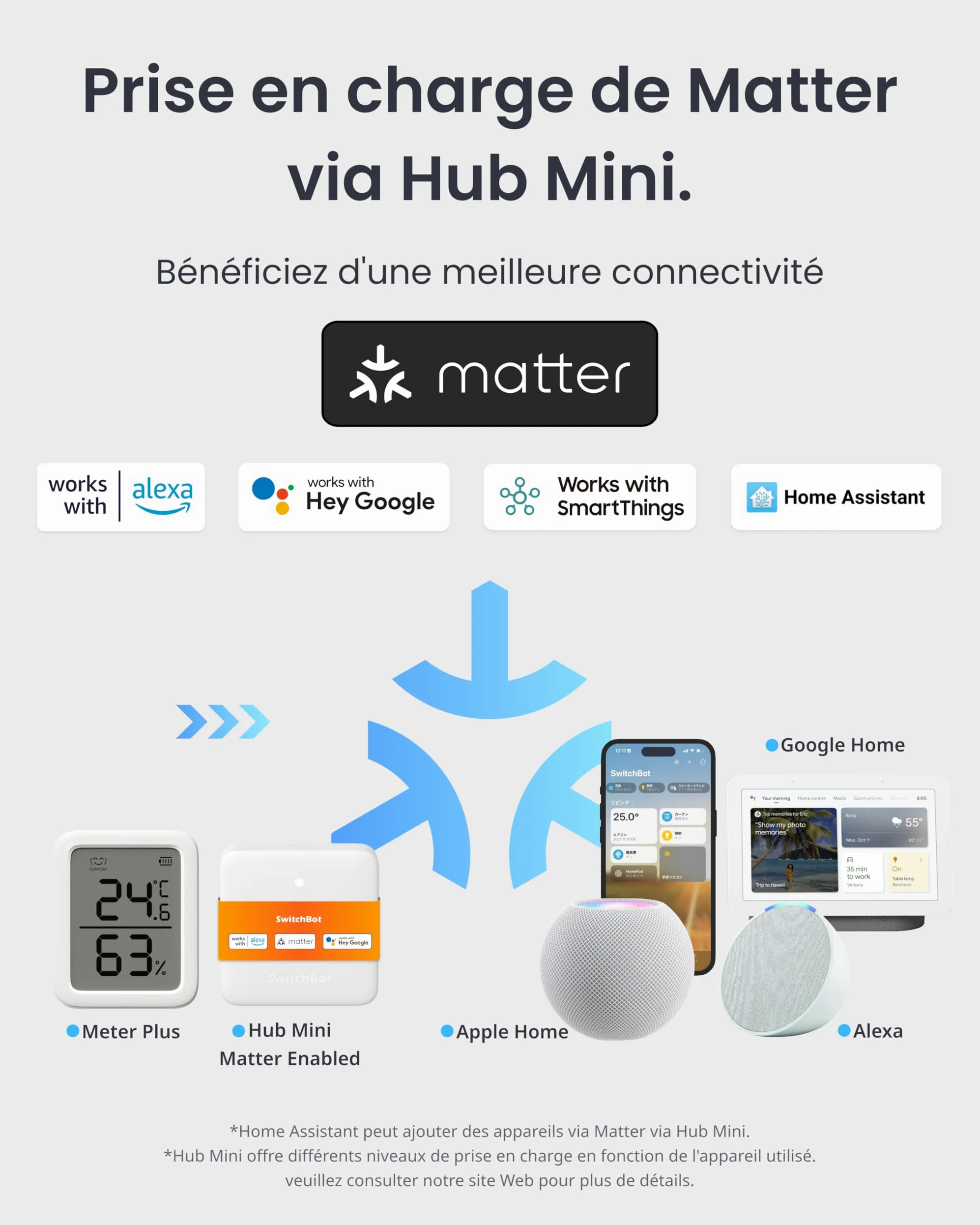 SwitchBot Thermomètre Hygromètre Intérieur Lot de 2 avec Hub Mini Matter, Hygromètre Bluetooth Numérique Capteur de Température et d’Humidité avec Application & Stockage de Données, Capteur de Point d