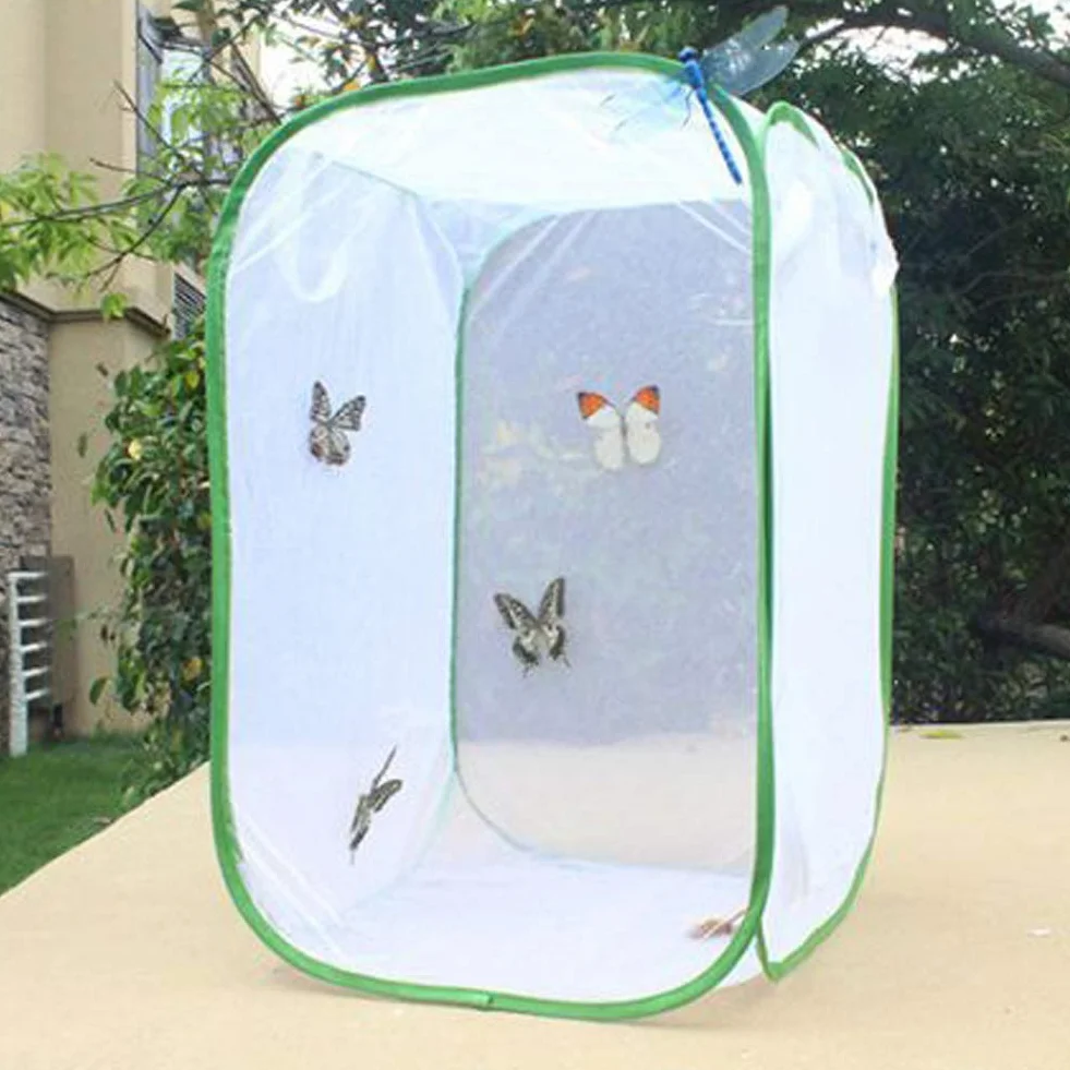 Cage Papillon Habitat Insecte Élevage avec Film PVC Transparent Pliable Amovible Blanc Filet Serre Tente pour Extérieur