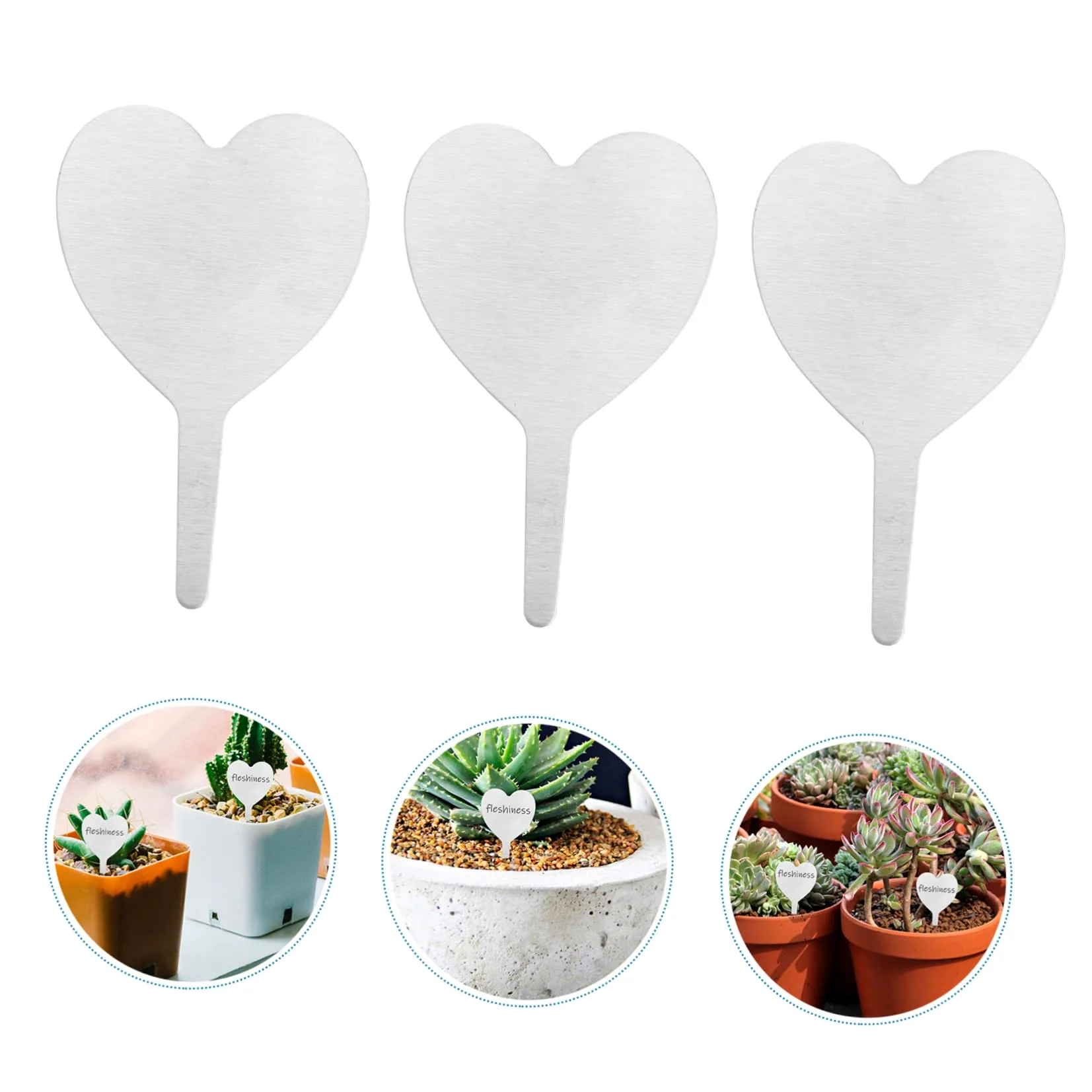 ibasenice 2 Ensembles Étiquettes Métalliques Végétales Balises De Pieu Planche Étiquettes D'identification De Plantes Étiquette De Plante De Tableau Silver Acier Inoxydable 50 Pièces * 2