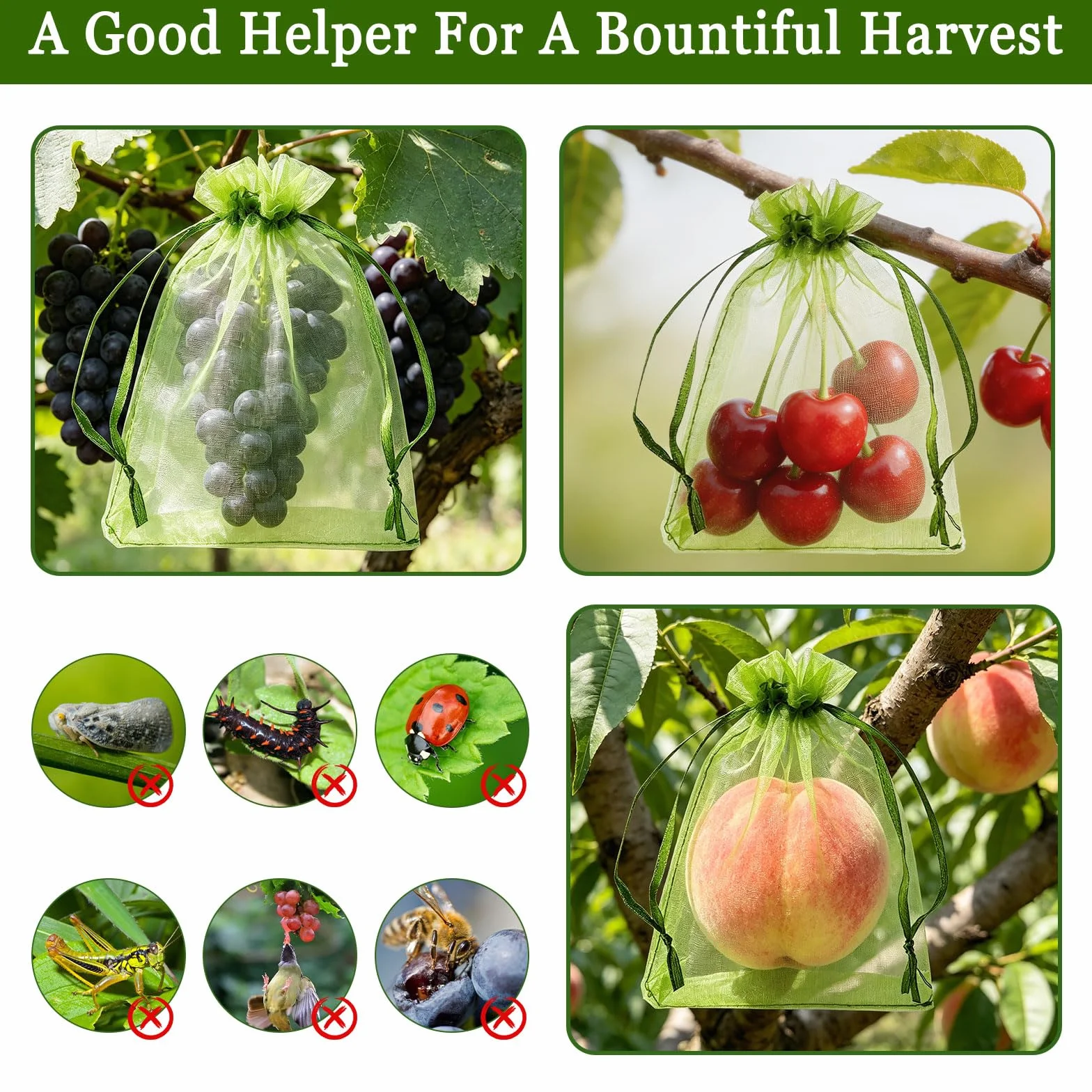 Sachets Protection Fruits 50 Pièces, Sac Protection Raisin Anti-Pucerons Oiseaux Guêpes 20x30 cm Vert