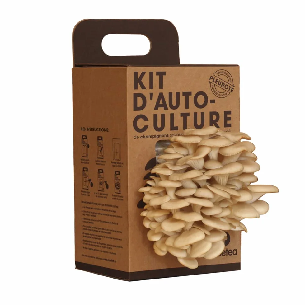 Kit de Culture de Champignons Pleurotes à la Maison | Champignon Gourmet en 15 Jours | Cultive Facilement pour Foodies, Chefs et Amateurs de Cuisine | Cadeau Original | Resetea