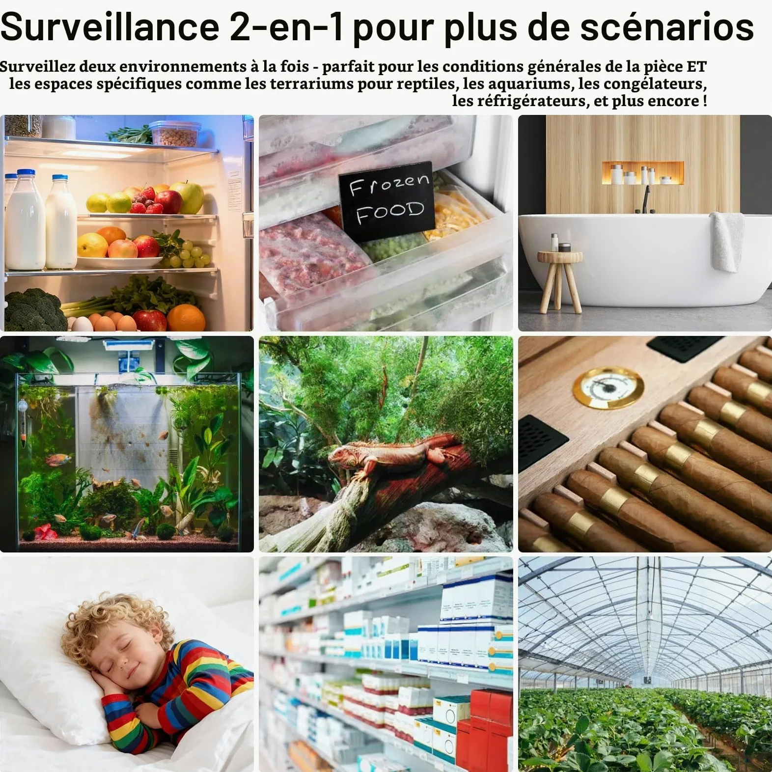 Thermomètre Hygromètre WiFi avec Sonde, Capteur Intelligent avec Alerte App | Capteur de Température et Humidité, Écran LCD, Stockage de Données, Idéal pour Frigo Réfrigérateur Aquarium Serre, Lot de 2