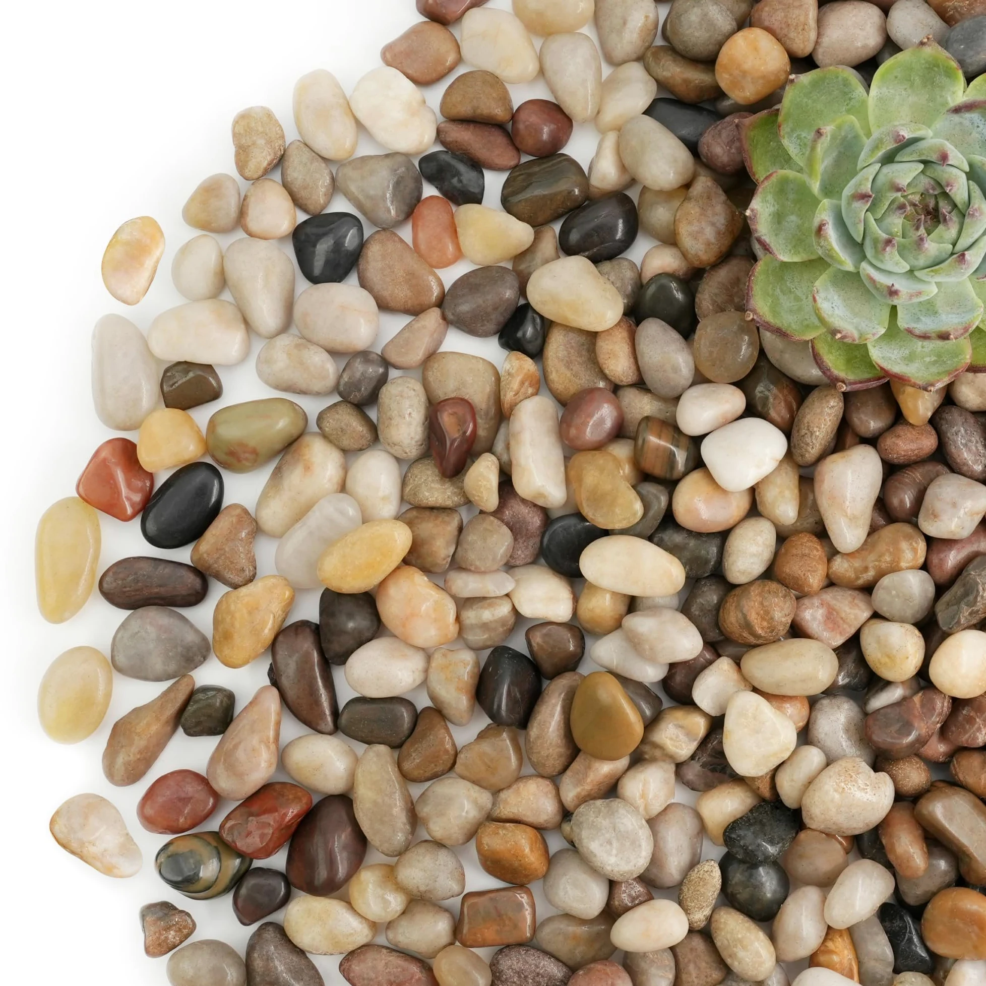 NUPICK 2,7 kg de pierres de rivière pour plantes d'intérieur, galets mixtes de 1,27 cm pour remplissage de vase, gravier décoratif pour aquarium, pierres naturelles polies pour plantes grasses, bonsaï