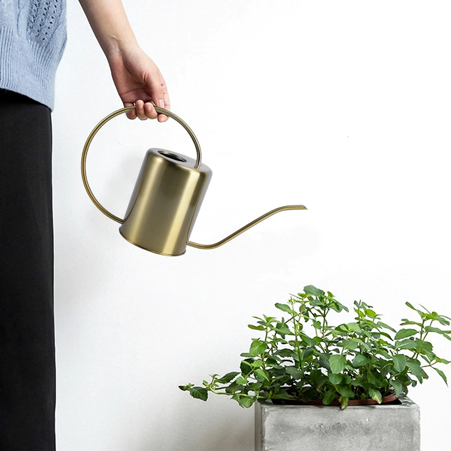 ibasenice Arrosoir Poignée Antidébordement Or 2000ml en Acier Inoxydable de Jardin Bec Long Ergonomique et Arrosage Intérieur Extérieur