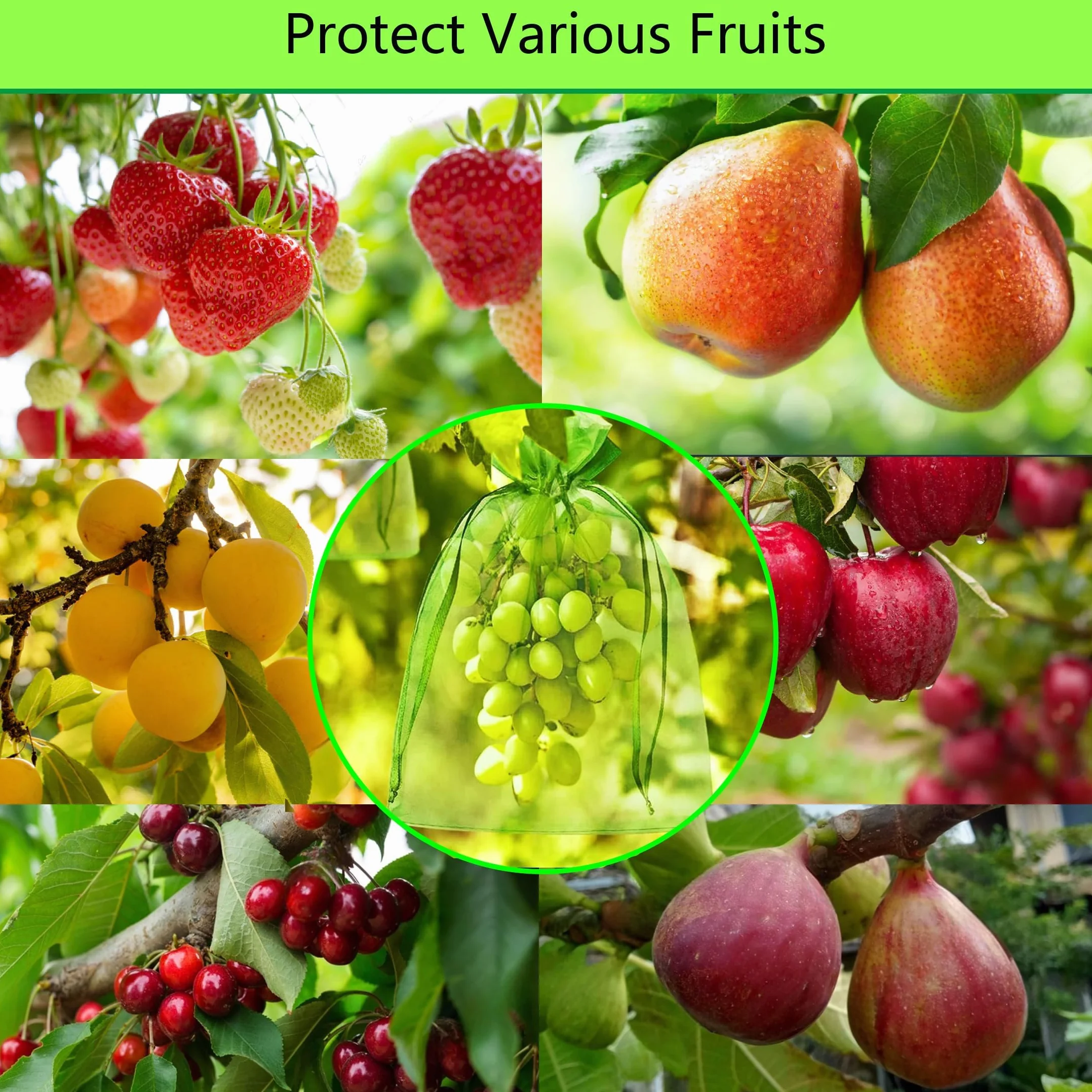 Sac Protection Fruits 40x30cm 50 pièces Sachet Protection Raisin Respirant Cordon Serrage