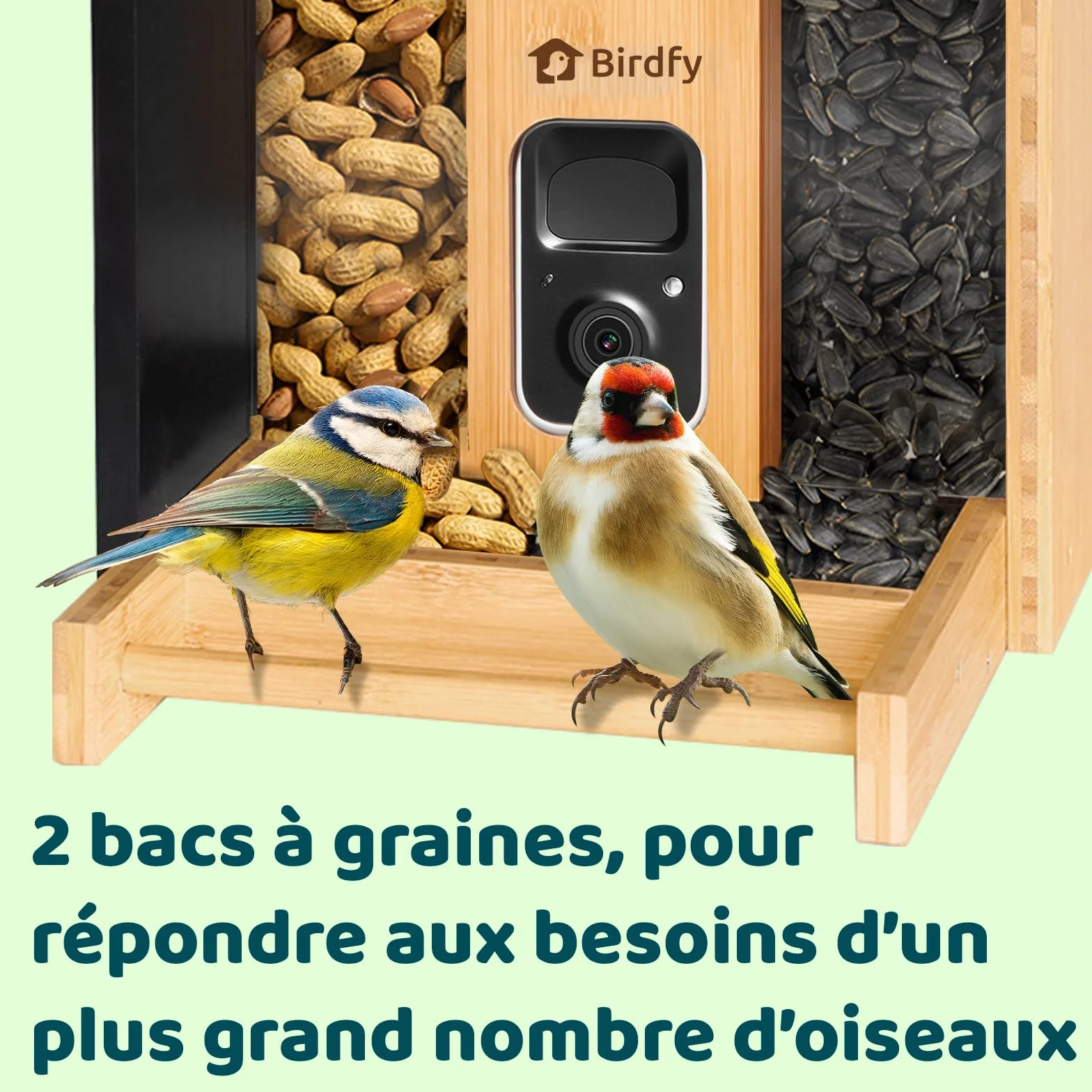 Netvue Birdfy Mangeoire Oiseaux Bambou Caméra Solaire Vision Nocturne Capture Auto Images Vidéos Notification