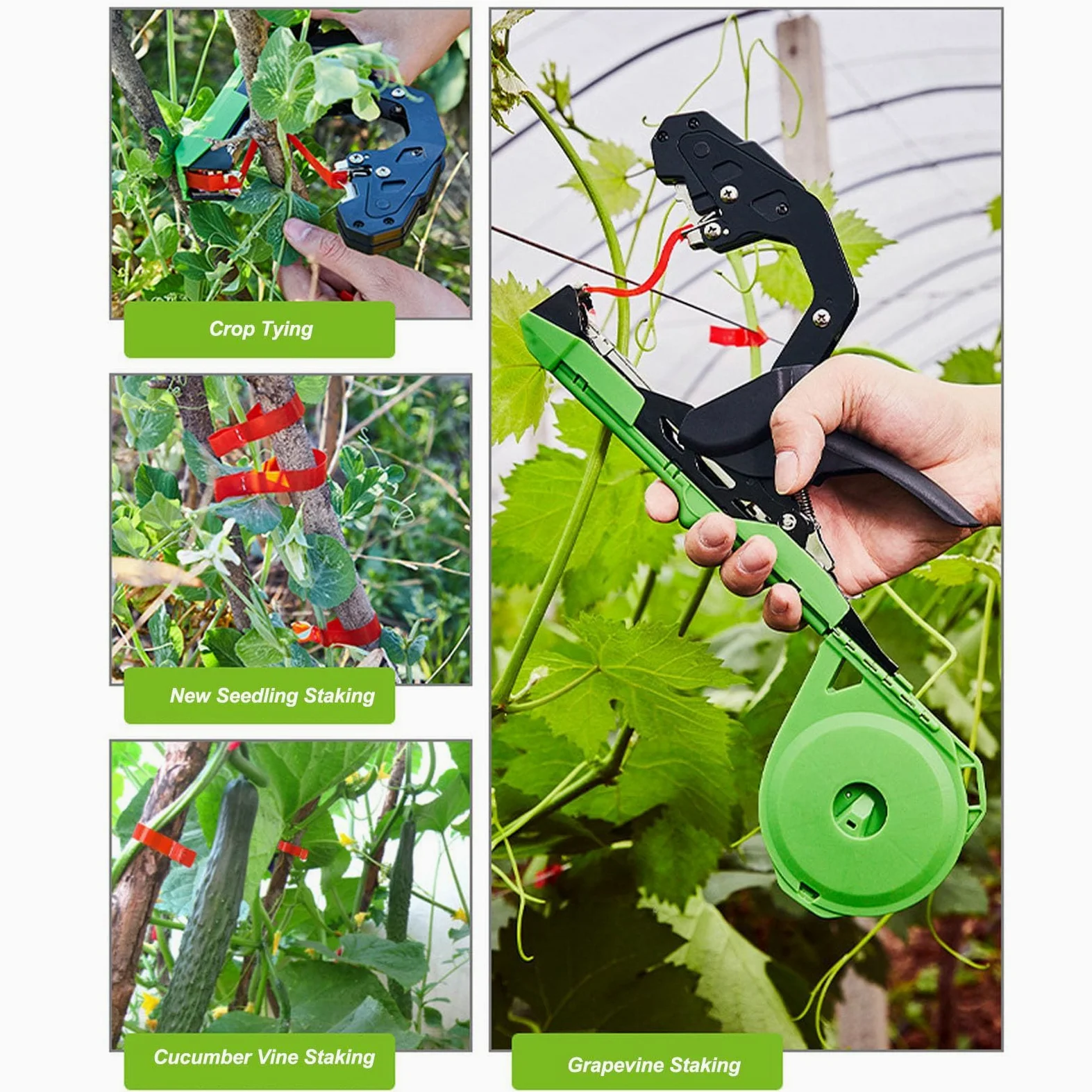 Ruban d'Attache Plantes Léger Machine à Attacher pour Tomate Concombre Raisin et Plantes de Vigne