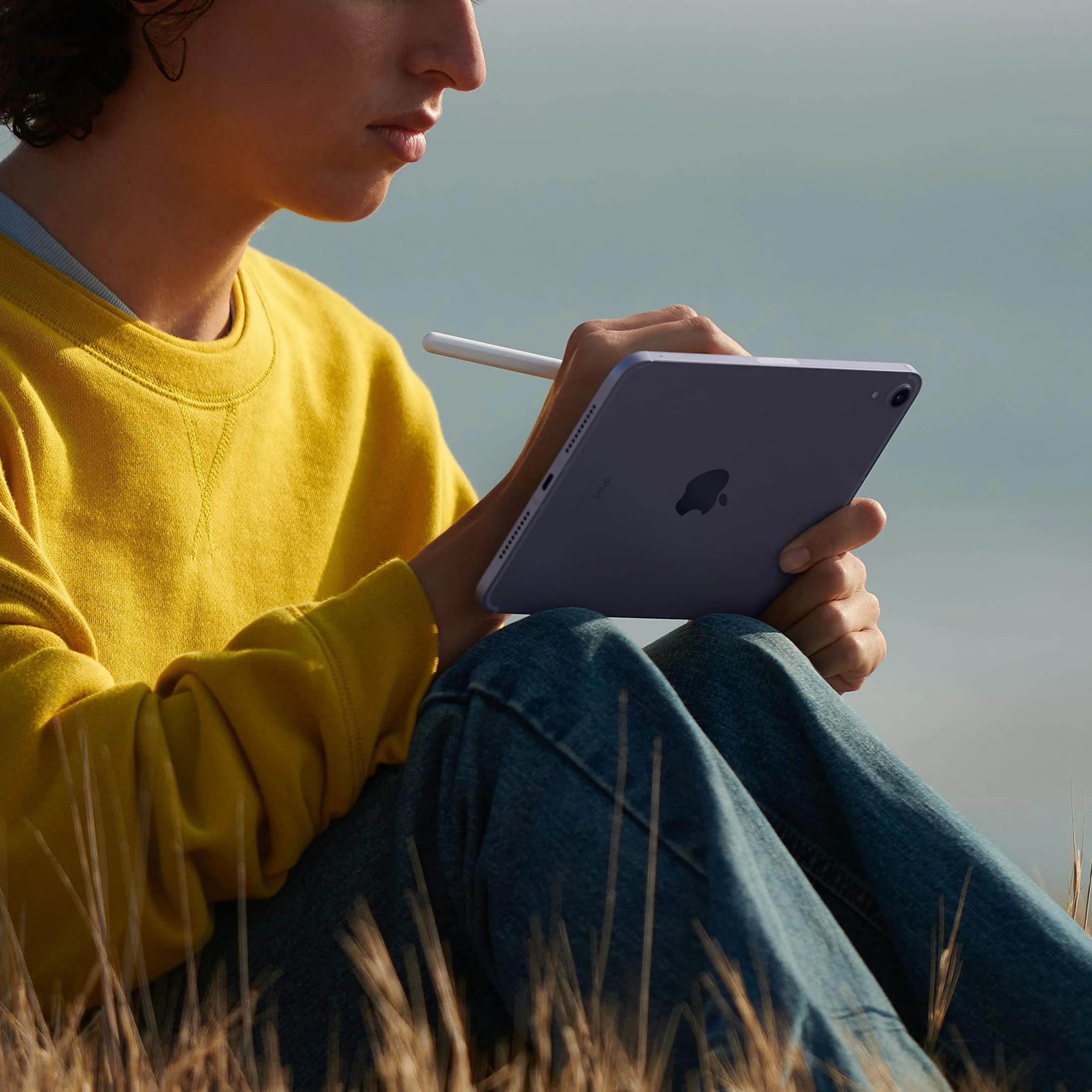 Apple iPad Mini 2021 8,3" Wi-Fi + Cellulaire 64 Go Gris Sidéral Reconditionné