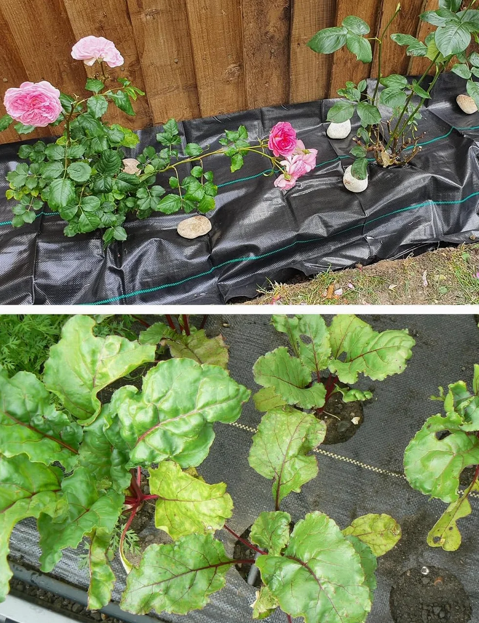 wohohoho Rouleau de membrane anti-mauvaises herbes 2 m x 25 m - Tissu anti-mauvaises herbes très résistant pour terrasse, jardin, parterres de fleurs, étang