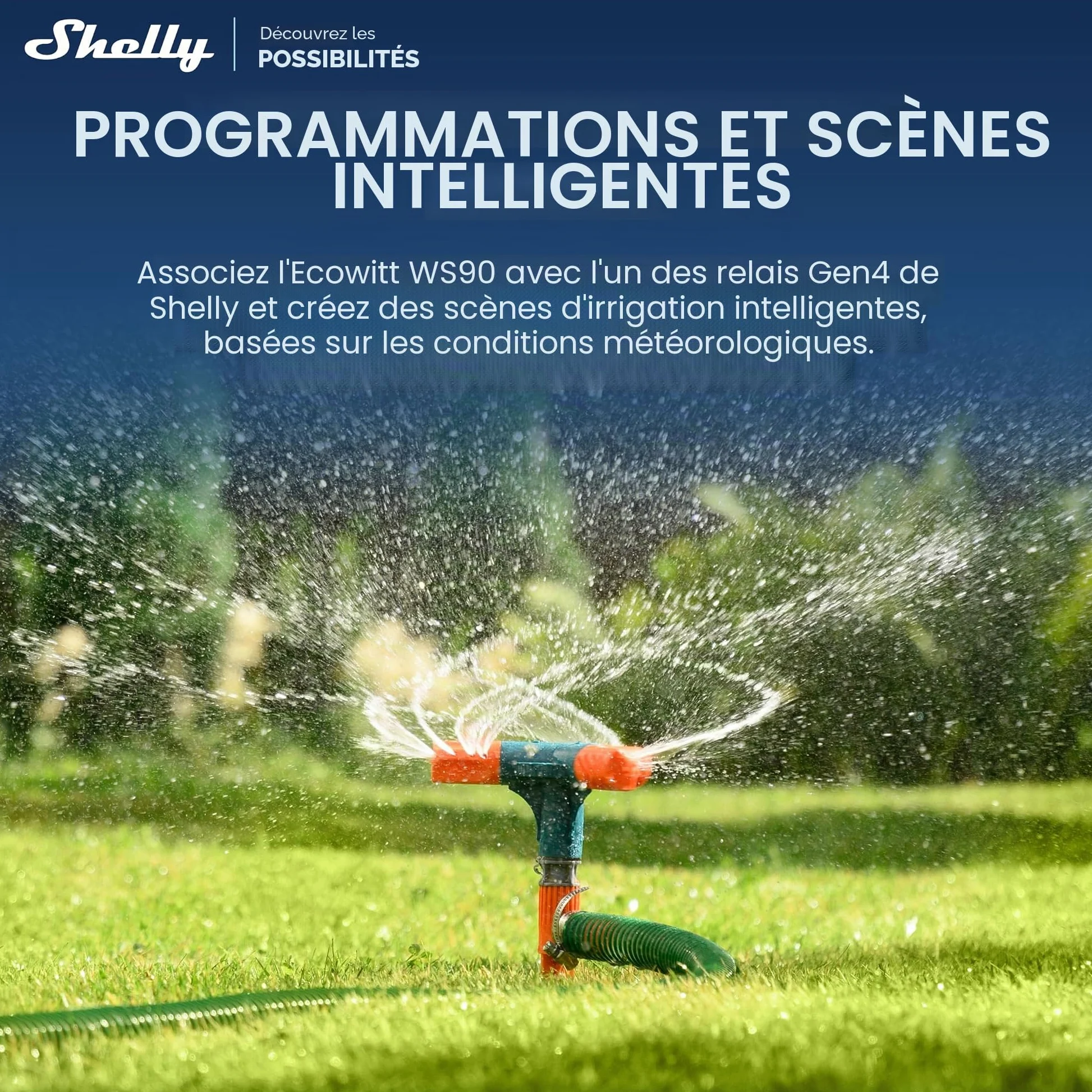 Ecowitt WS90 – Station météo sans fil extérieure, alimentée par Shelly, Bluetooth et Zigbee, Thermomètre et hygromètre connecté, Mesure vent, pluies, UV, Baromètre, IPX5, Aliemntation solaire