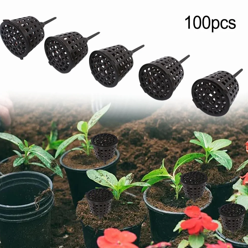 Paniers d'engrais pour bonsaï Lot de 100 avec couvercle, boîtes à libération lente pour plantes grasses