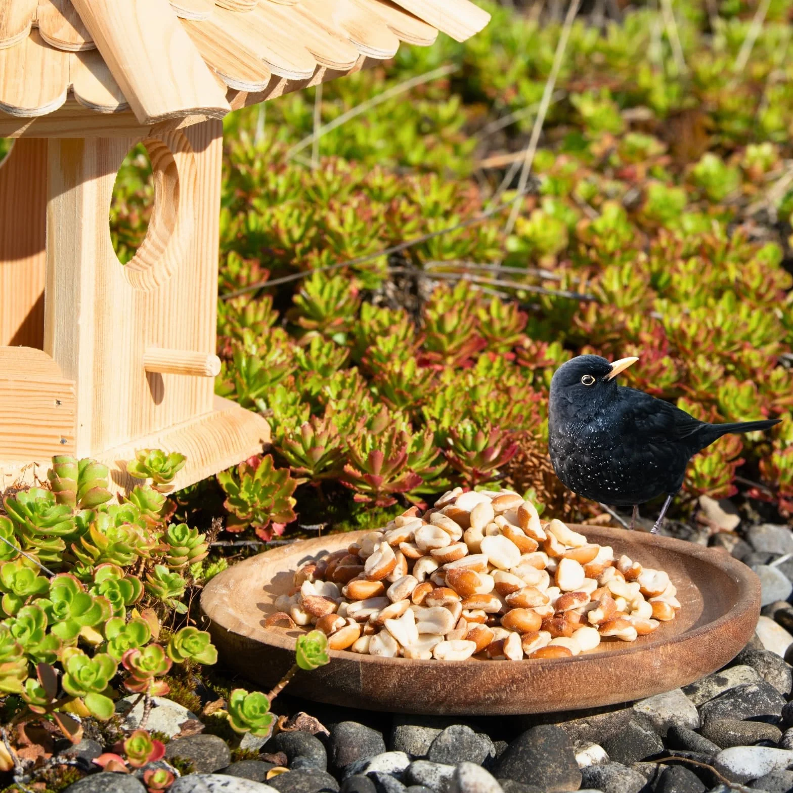 Graines de cacahuètes Splits mélangées blanchies & avec Peau 25 kg Nourriture pour Oiseaux Sauvages
