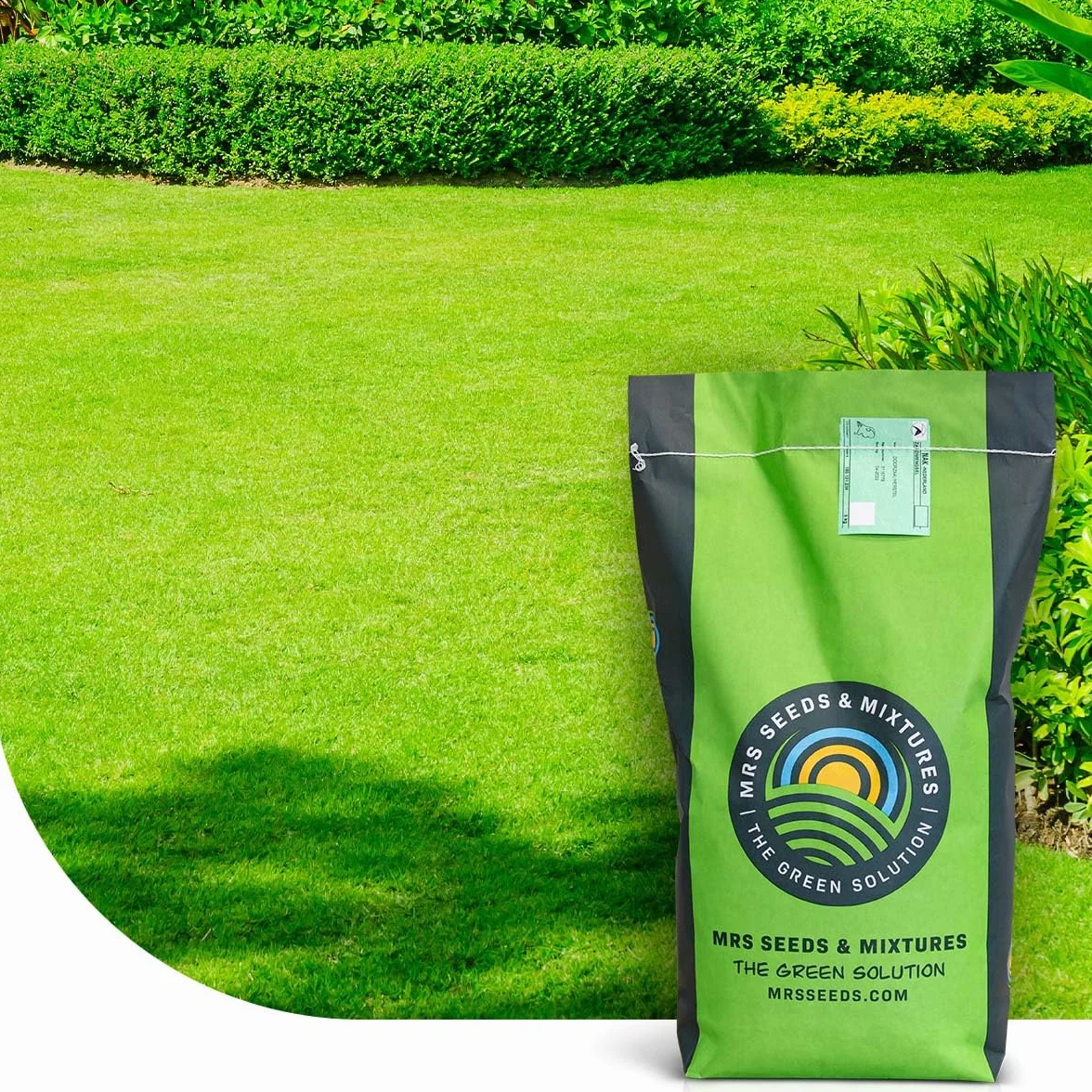 MRS Green Perfection Semences de gazon d'ornement 1 kg pour 50 m²