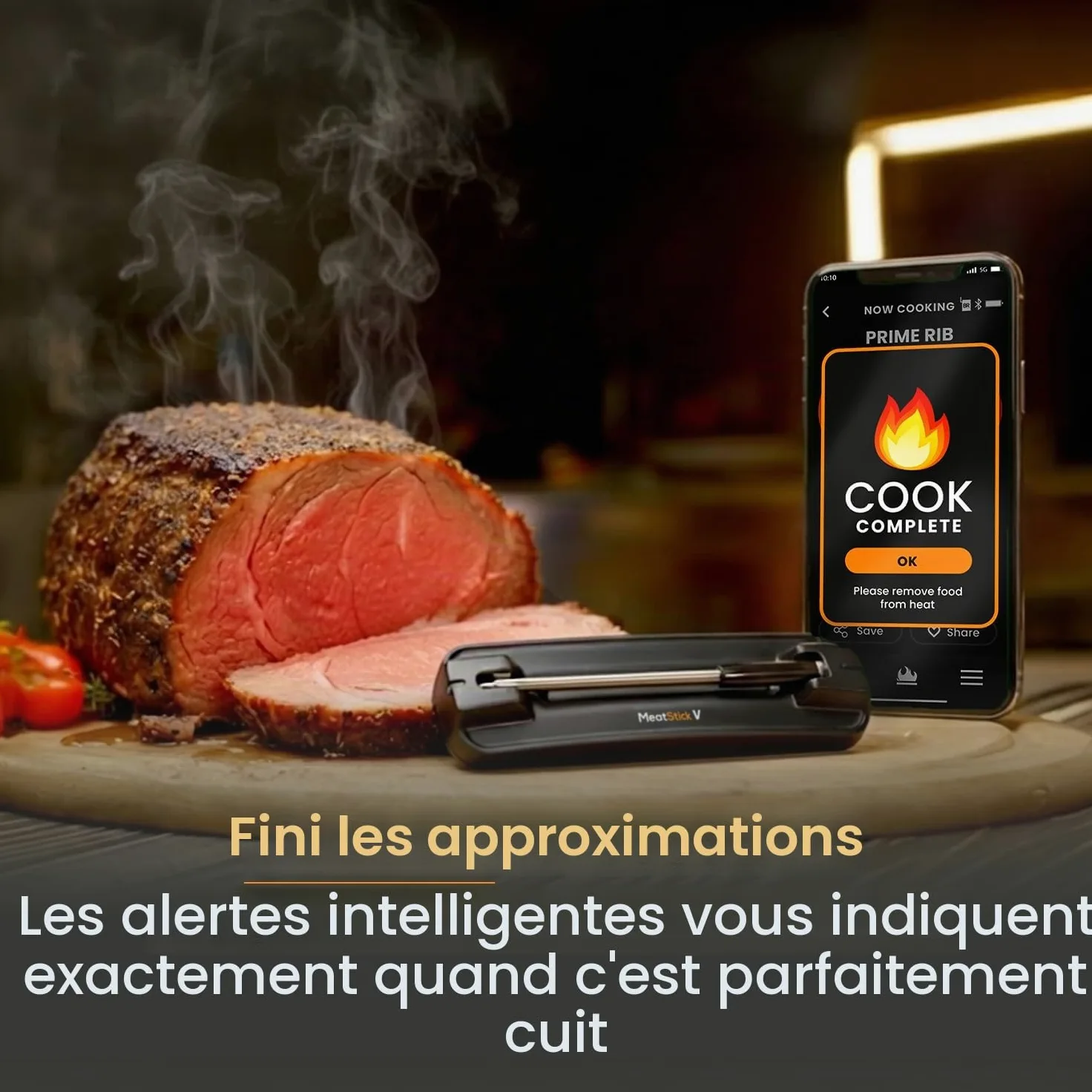 MeatStick V – Thermomètre à Viande Sans Fil, Jusqu’à 650 °C, 6 Capteurs de Température, WiFi à Portée Illimitée, Idéal pour Barbecue, Fumoir, Four et Friteuse à Air