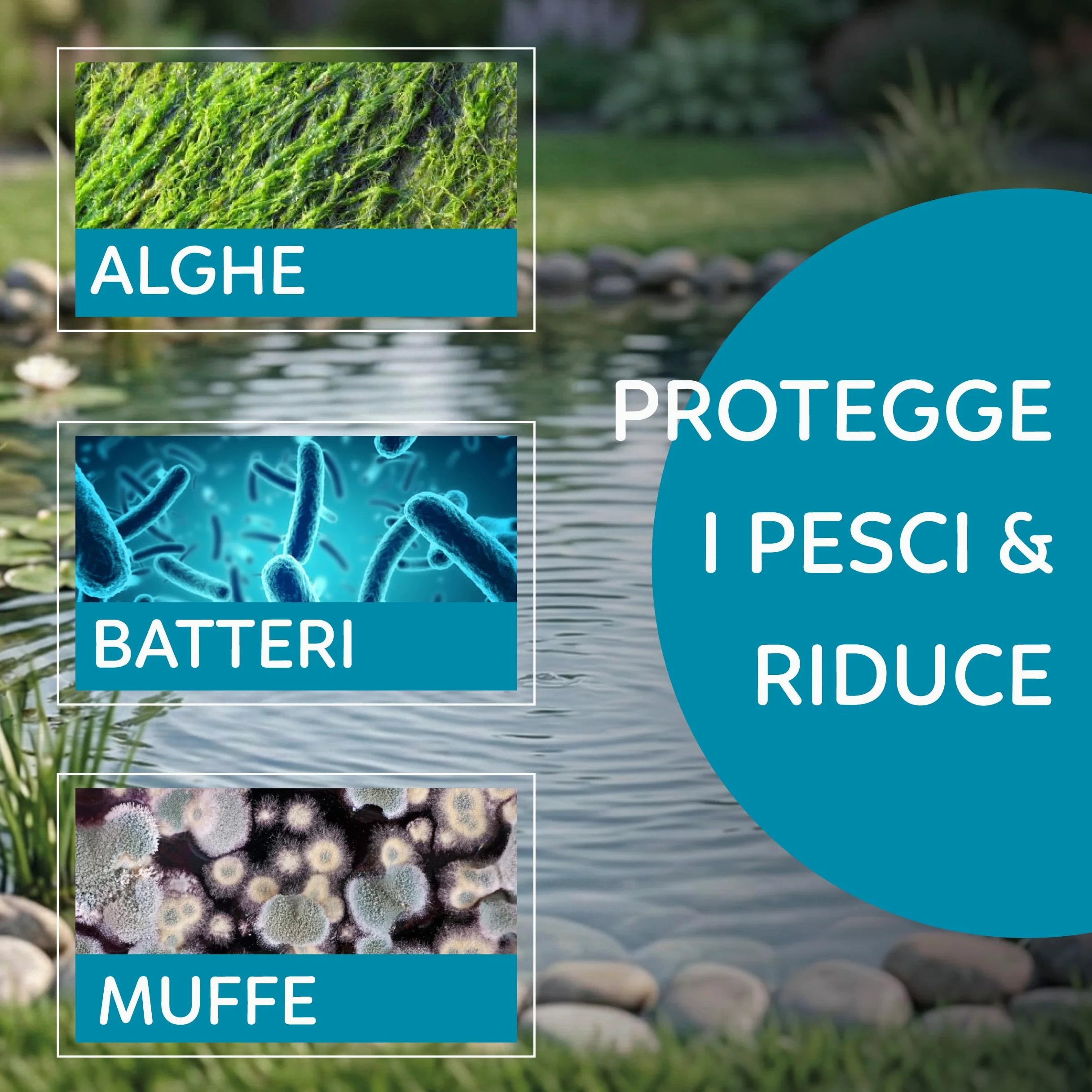 AQPOND Stérilisateur UV pour Bassin - Clarificateur UV-C pour contrôle des algues et de l'eau Verte - Système de stérilisation pour bassins, étangs et fontaines de Jardin, 1700 lt/h, 11 Watts