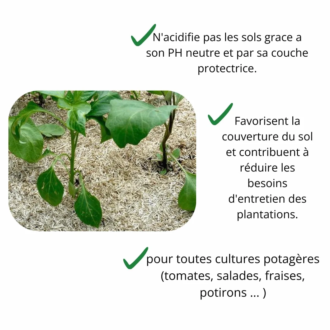TONUSOL Paillis de Chanvre 100% Naturel 10L - Paillage Végétal