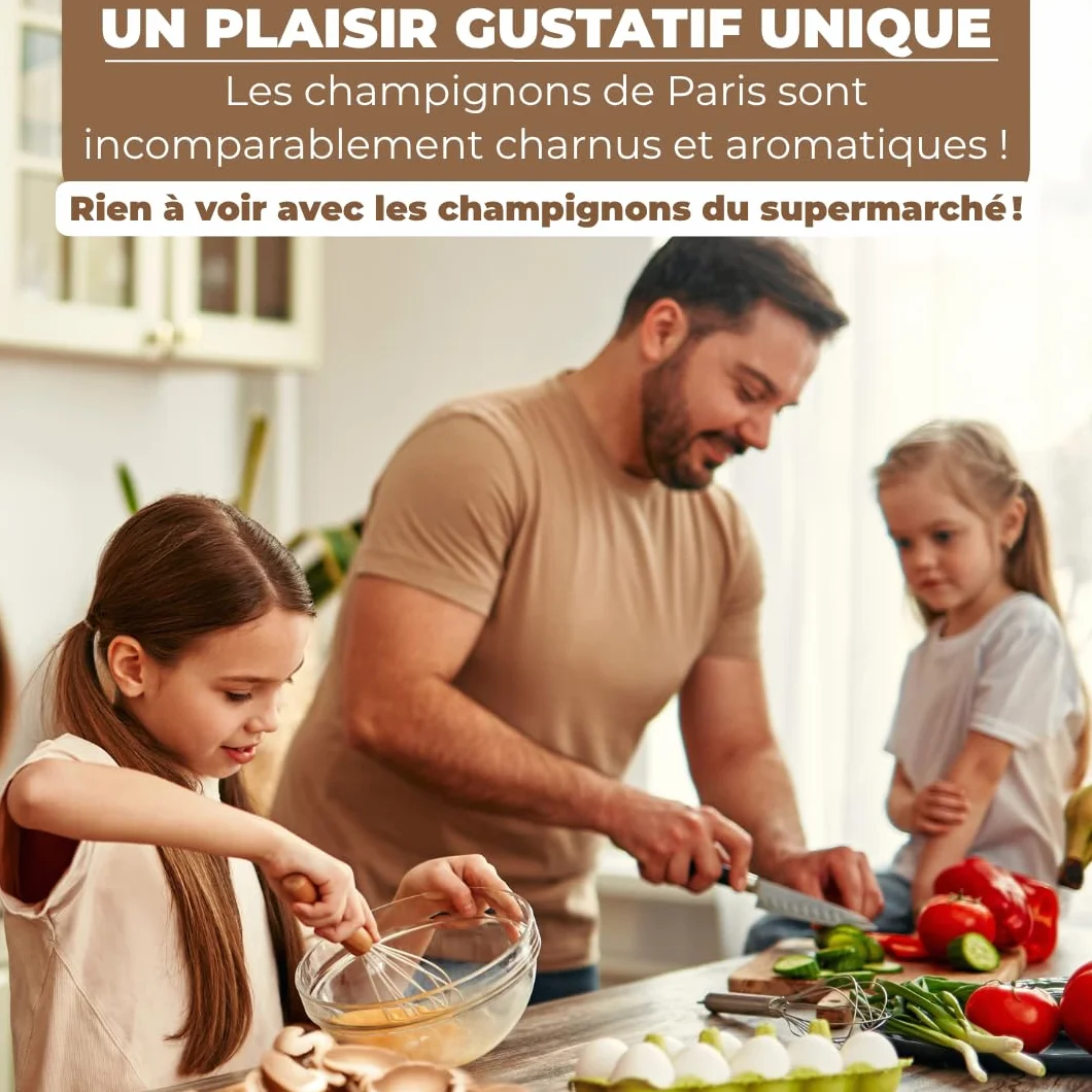 Hawlik Kit Champignons de Paris - Lot de 2 Cultures - Blancs et Bruns