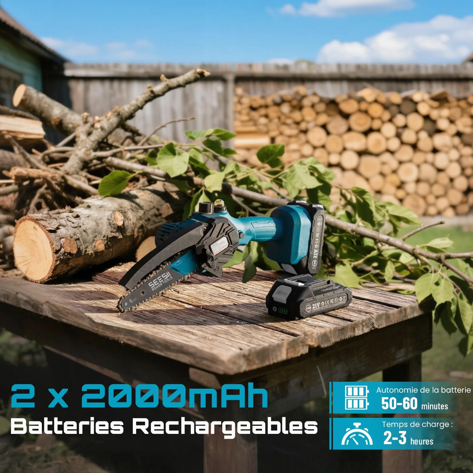 SEESII Mini Tronçonneuse à Batterie 6 Pouces avec Injecteur de Lubrifiant | Tronçonneuse Électrique sans Fil avec 2x2.0Ah Batteries, Mini Scie à Chaîne Électrique Rechargeable avec 2 Chaînes