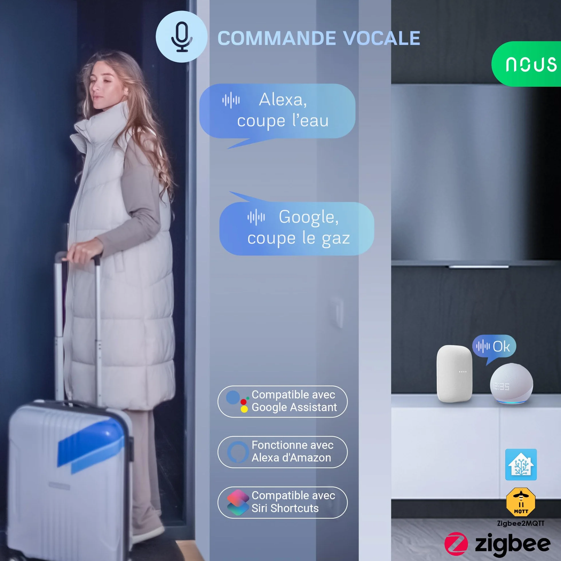 NOUS LZ3 Vanne d'eau ZigBee Compatible Google Assistant Alexa Tuya Smart Life Programmateur Irrigation