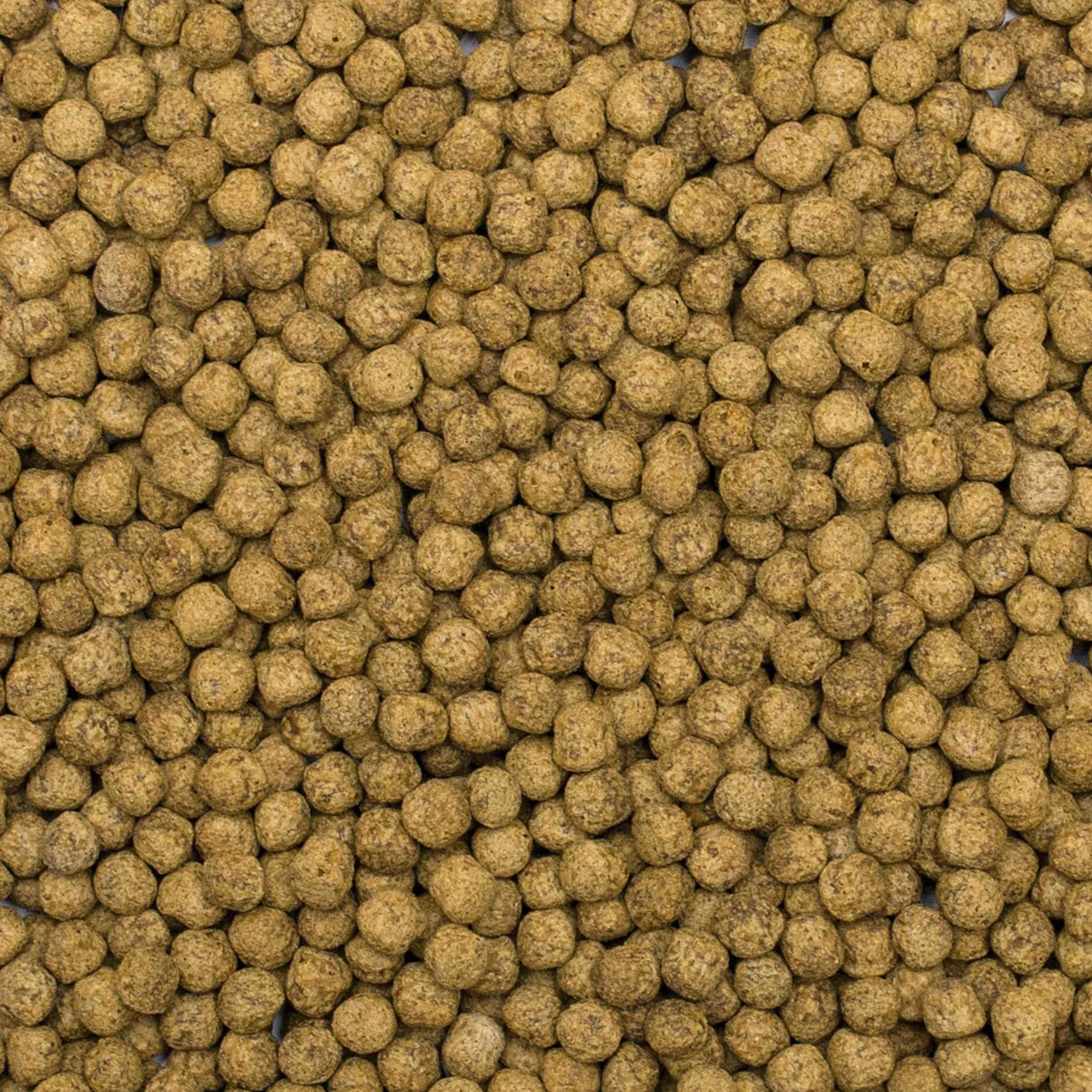 Koi Silkworm&ASTAXANTHIN Pellet Size M 7kg - Nourriture pour Poissons de Bassin, granulés Moyens
