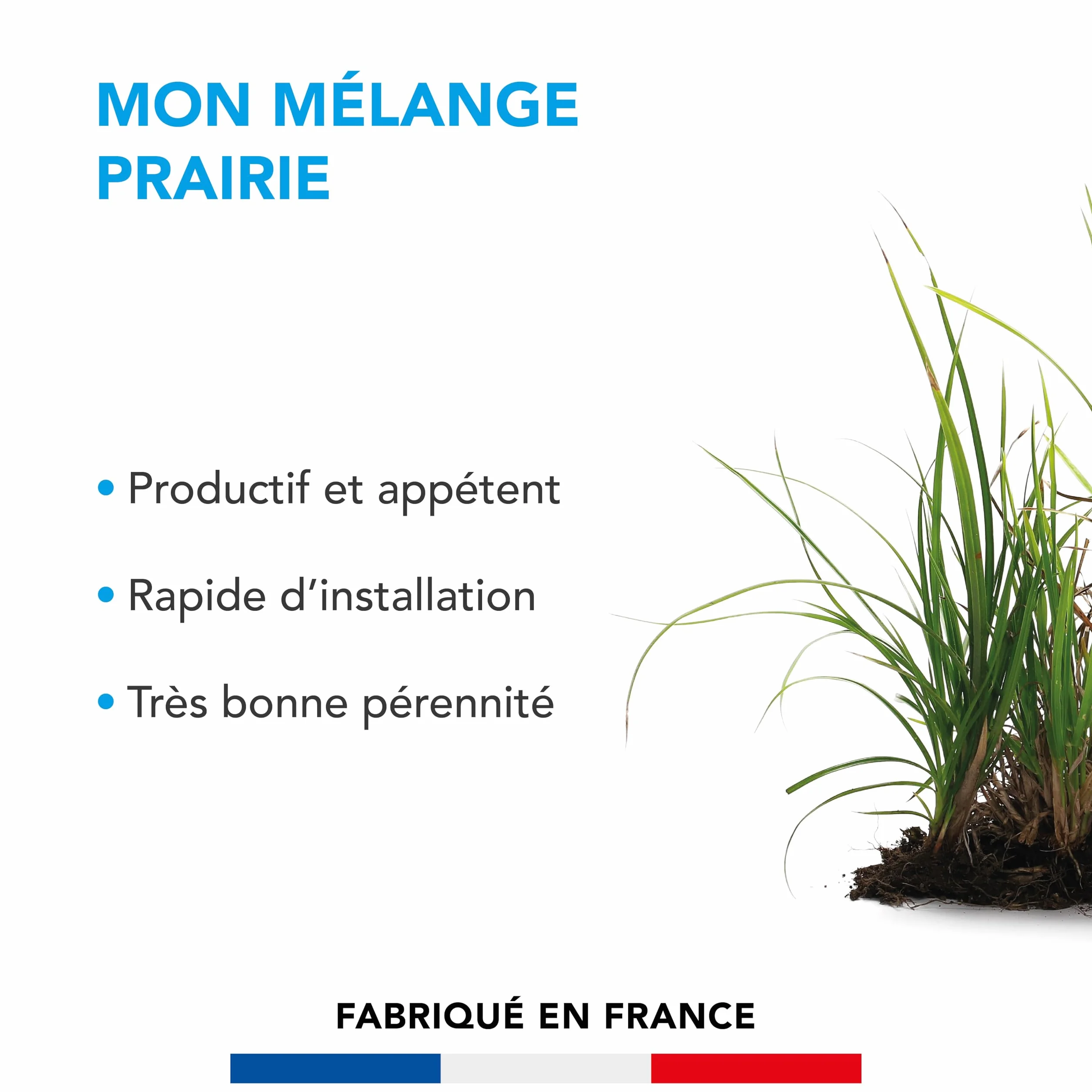 BARENBRUG Mélange Prairie Production Alimentation pour Animaux 1KG
