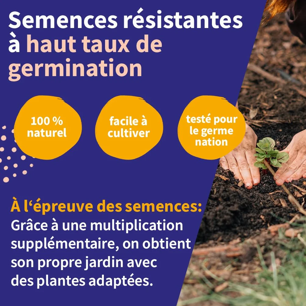 Légumes rares kit cadeau graines 8 variétés