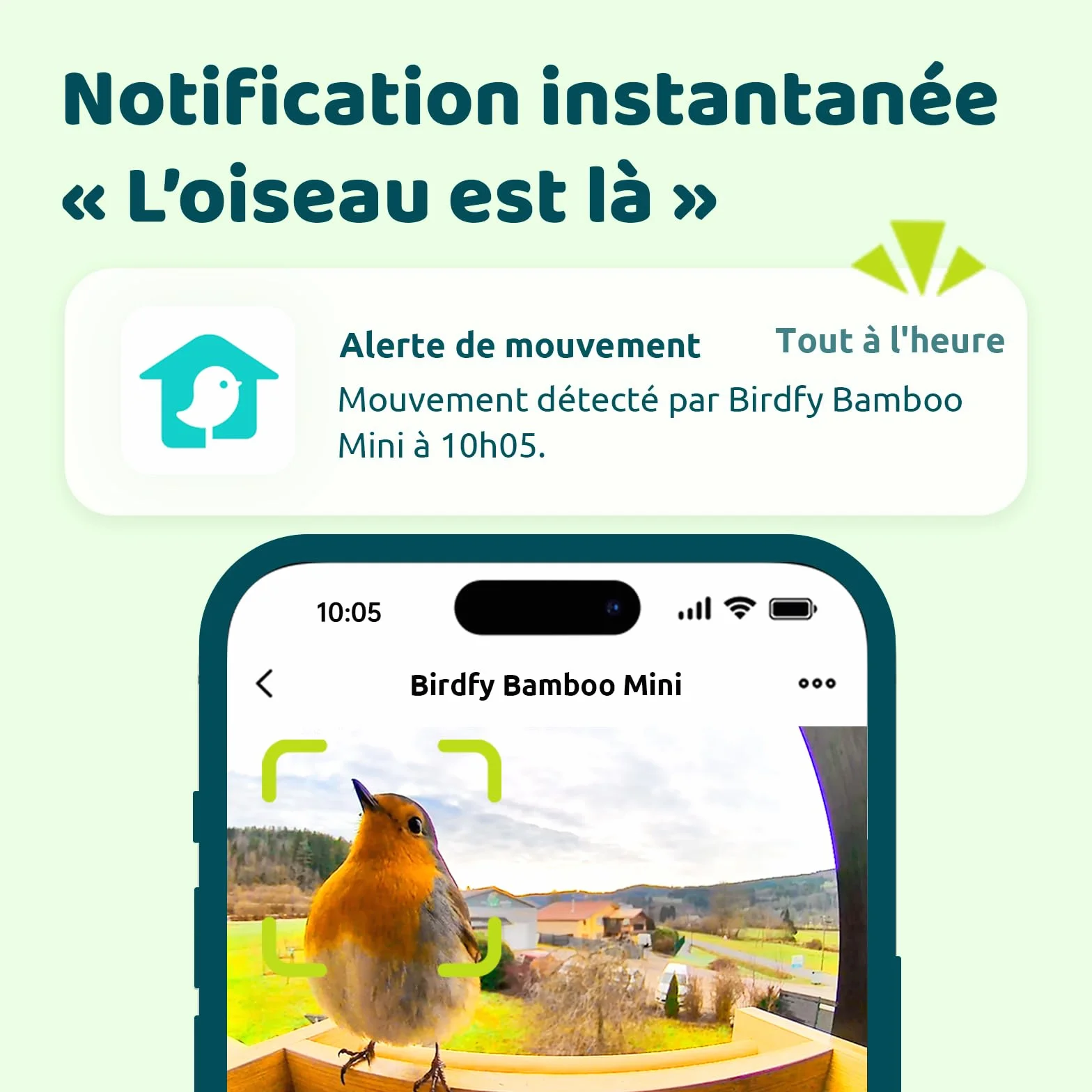 Netvue Birdfy Mangeoire Oiseaux Bambou Caméra Solaire Vision Nocturne Capture Auto Images Vidéos Notification